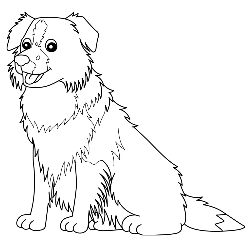 Free Printable Border Collie Coloring Pages