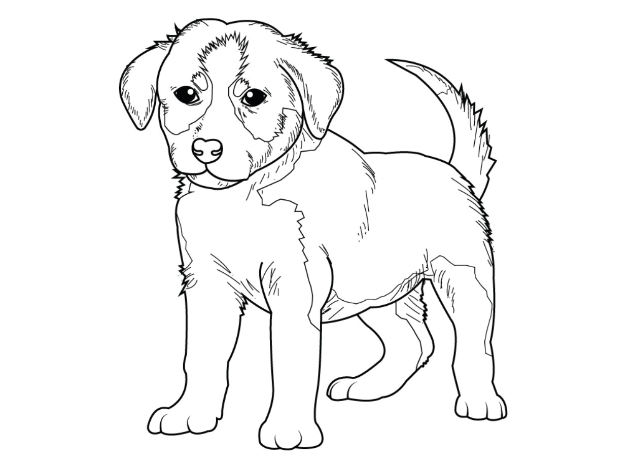 Printable Border Collie Coloring Pages