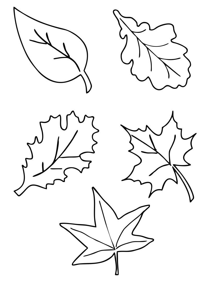 10 Best Fall Leaves Printable Templates PDF For Free At Printablee Fall Leaf Template Leaves Template Free Printable Leaf Template Printable