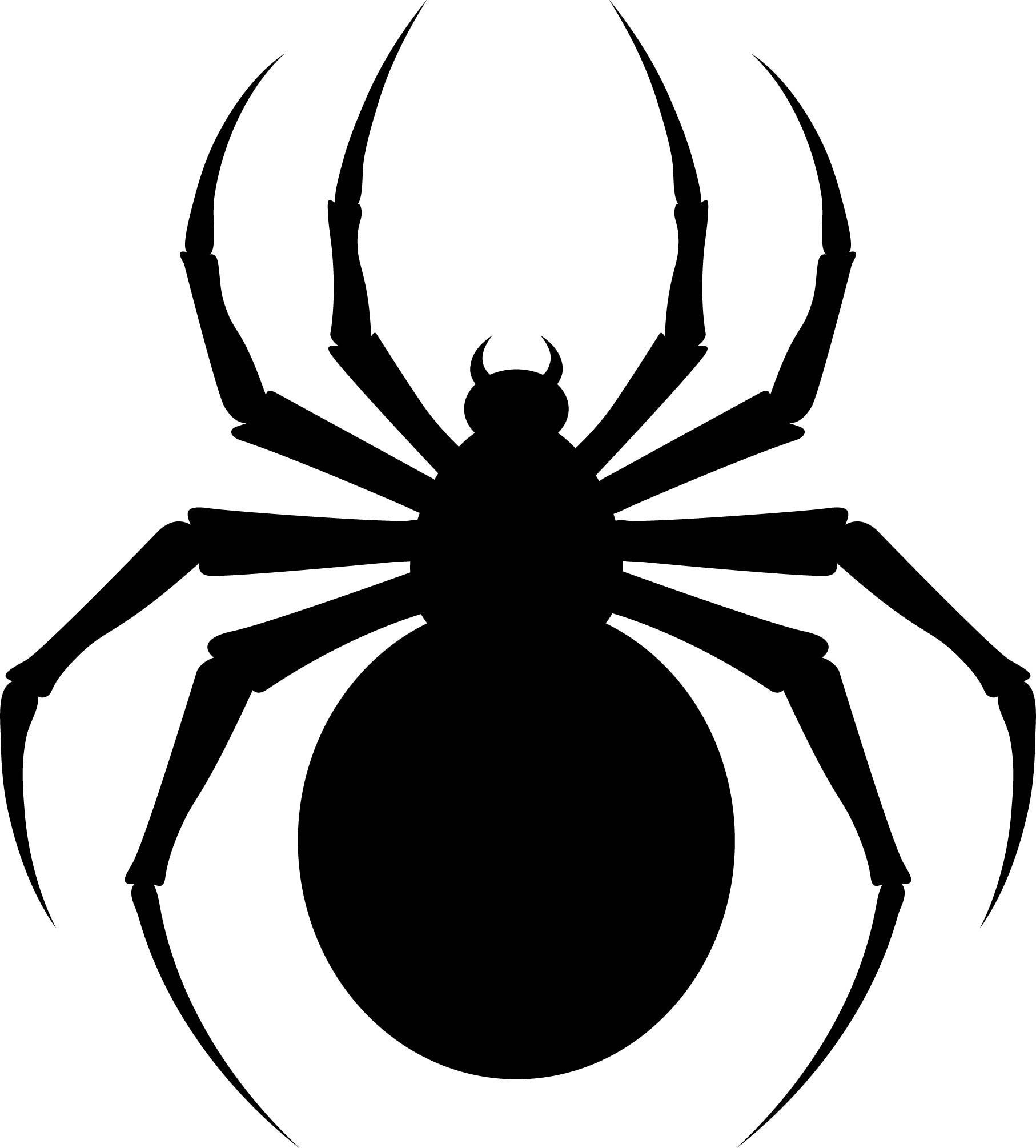 10 Best Printable Spider Template PDF For Free At Printablee Spider Template Spider Printable Spider Drawing