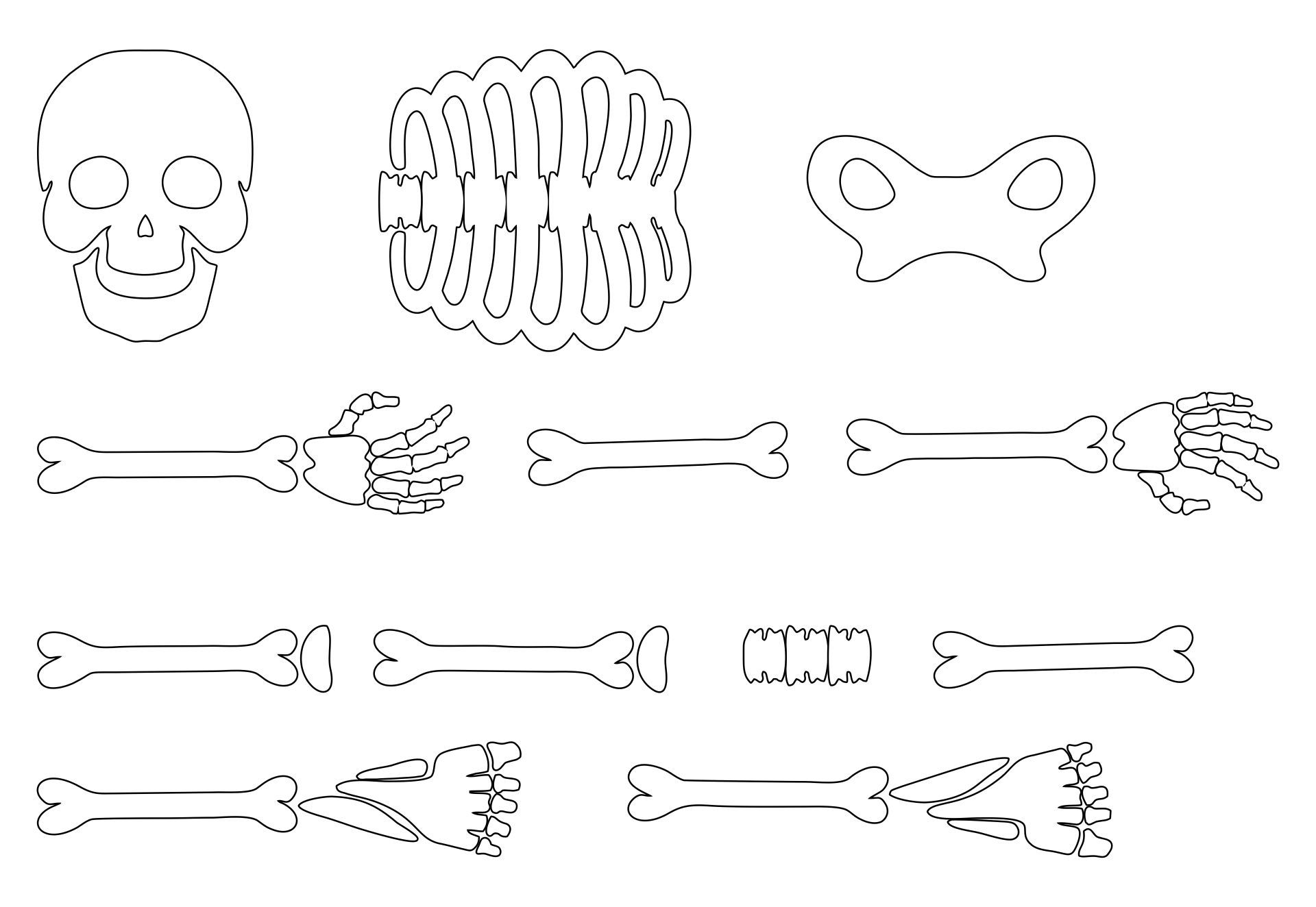 20 Best Large Printable Skeleton Template PDF For Free At Printablee Skeleton Template Large Printable Skeleton Costume Diy