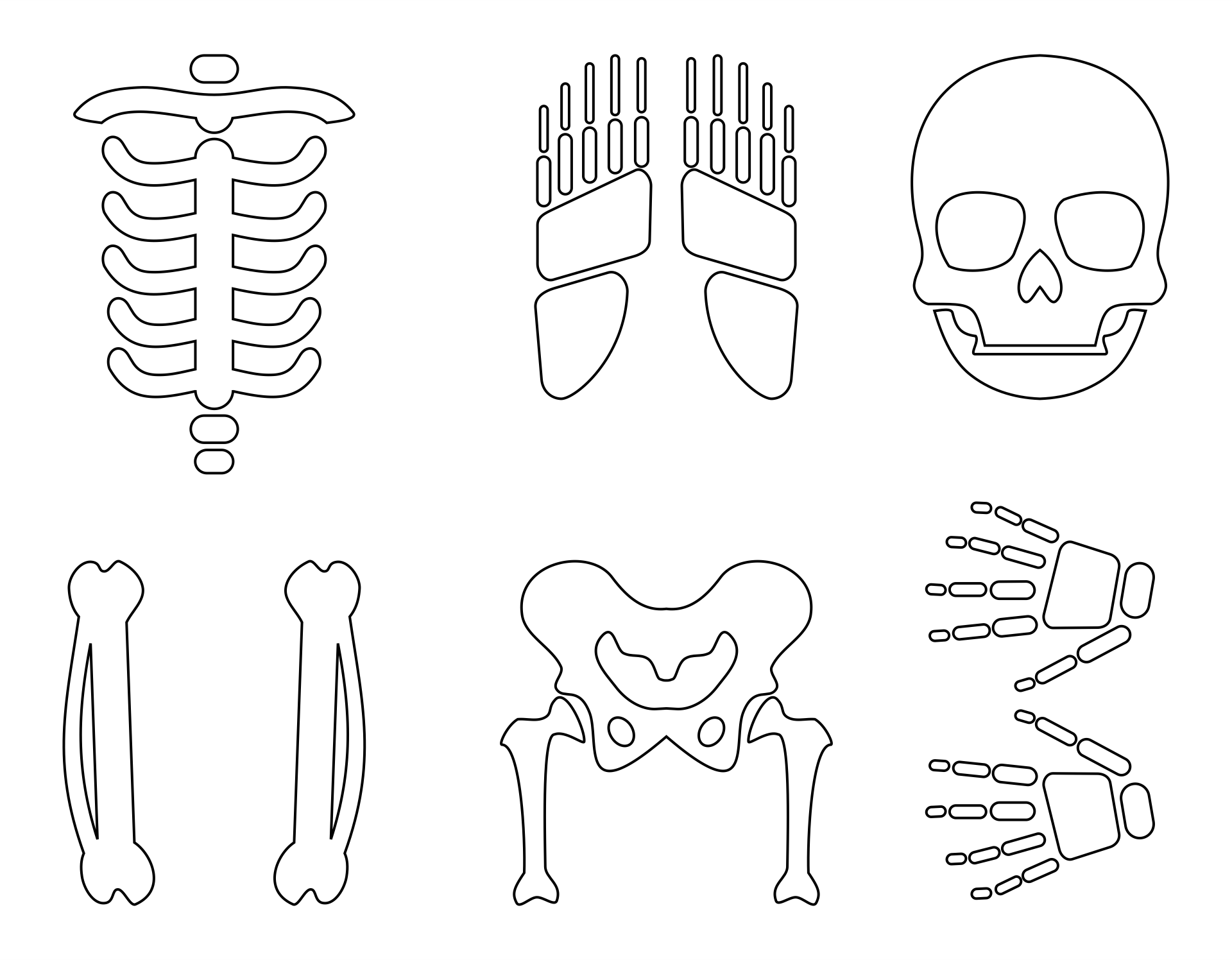 20 Best Large Printable Skeleton Template PDF For Free At Printablee Skeleton Template Large Printable Skeleton Costume Diy