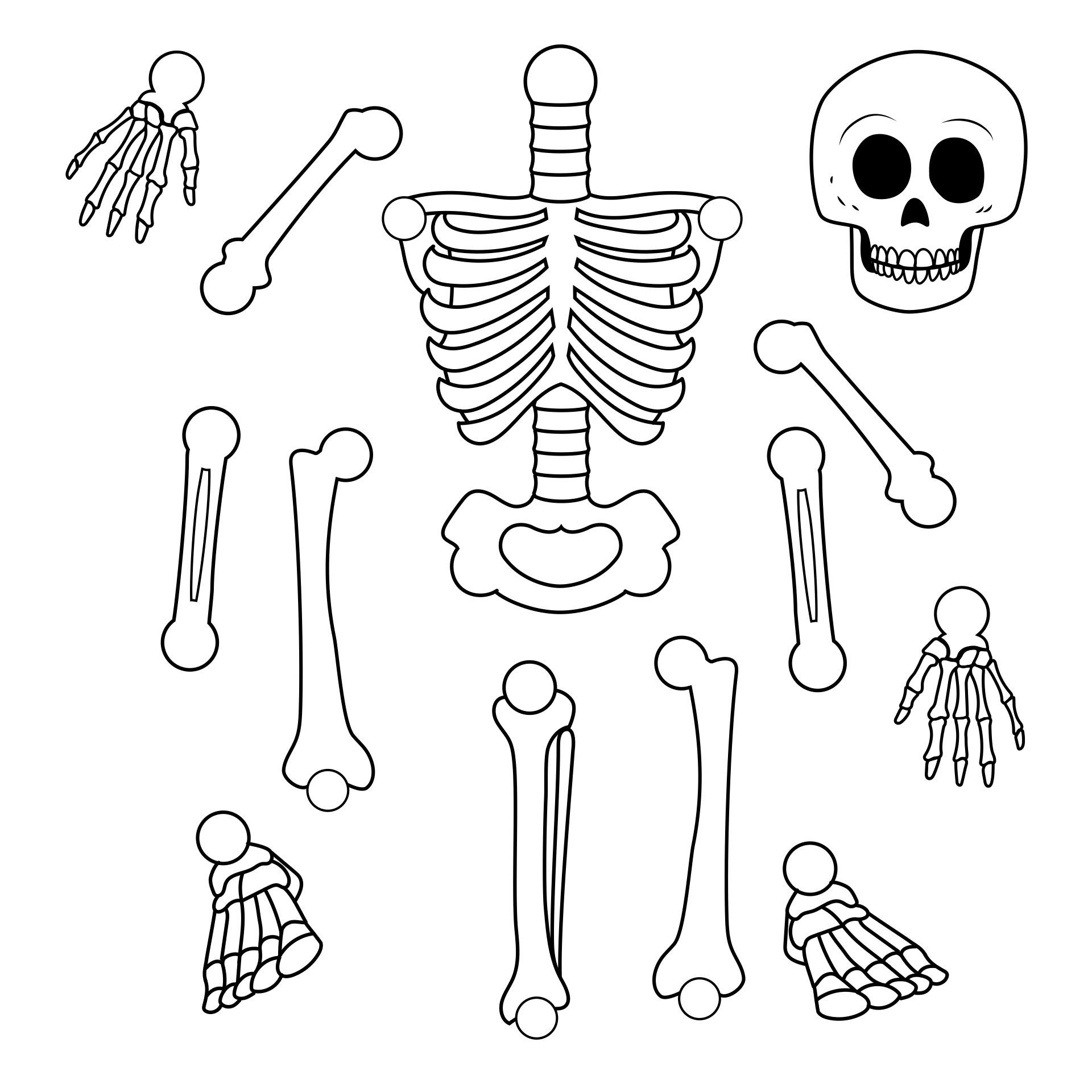 Printable Diy Skeleton Costume Template