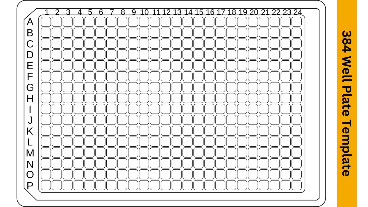 96 Well Plate Template Printable