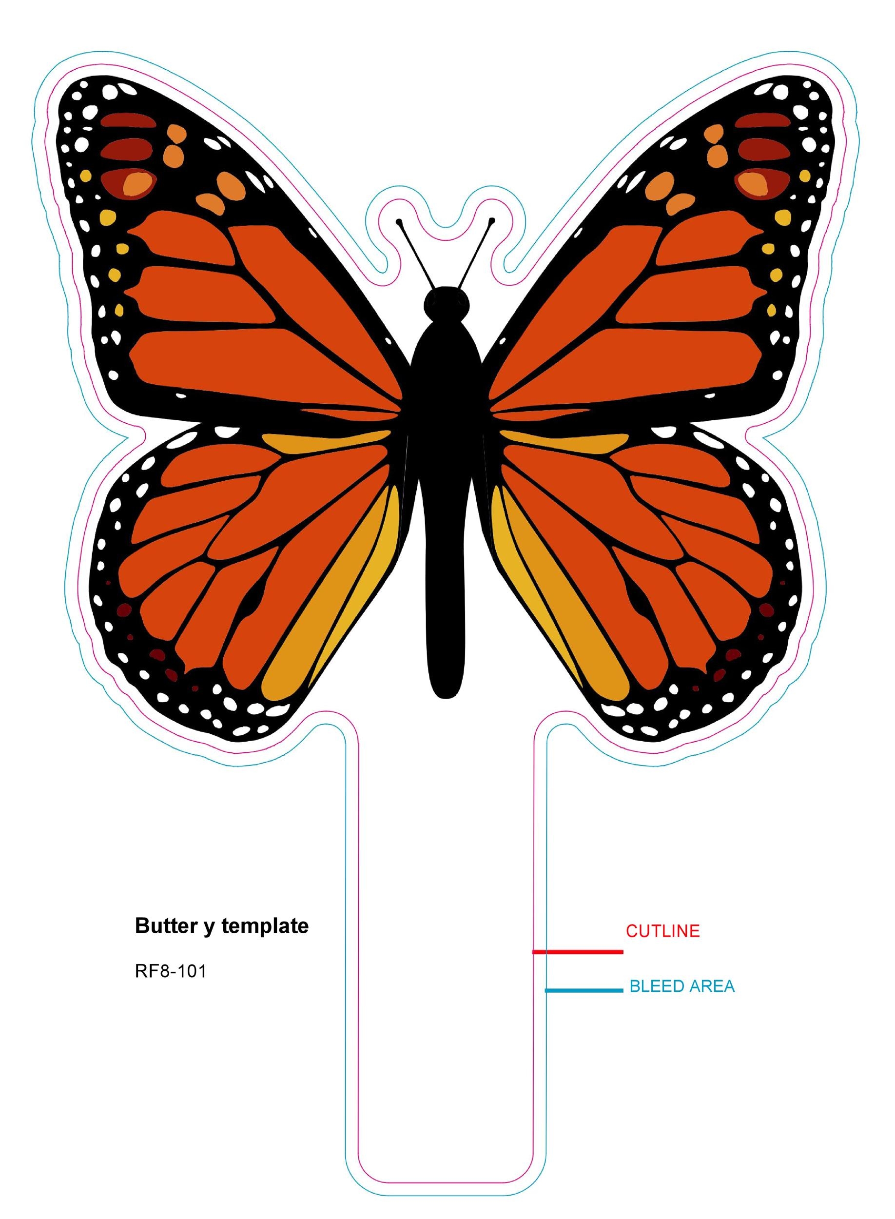 Printable Colorful Butterfly Template