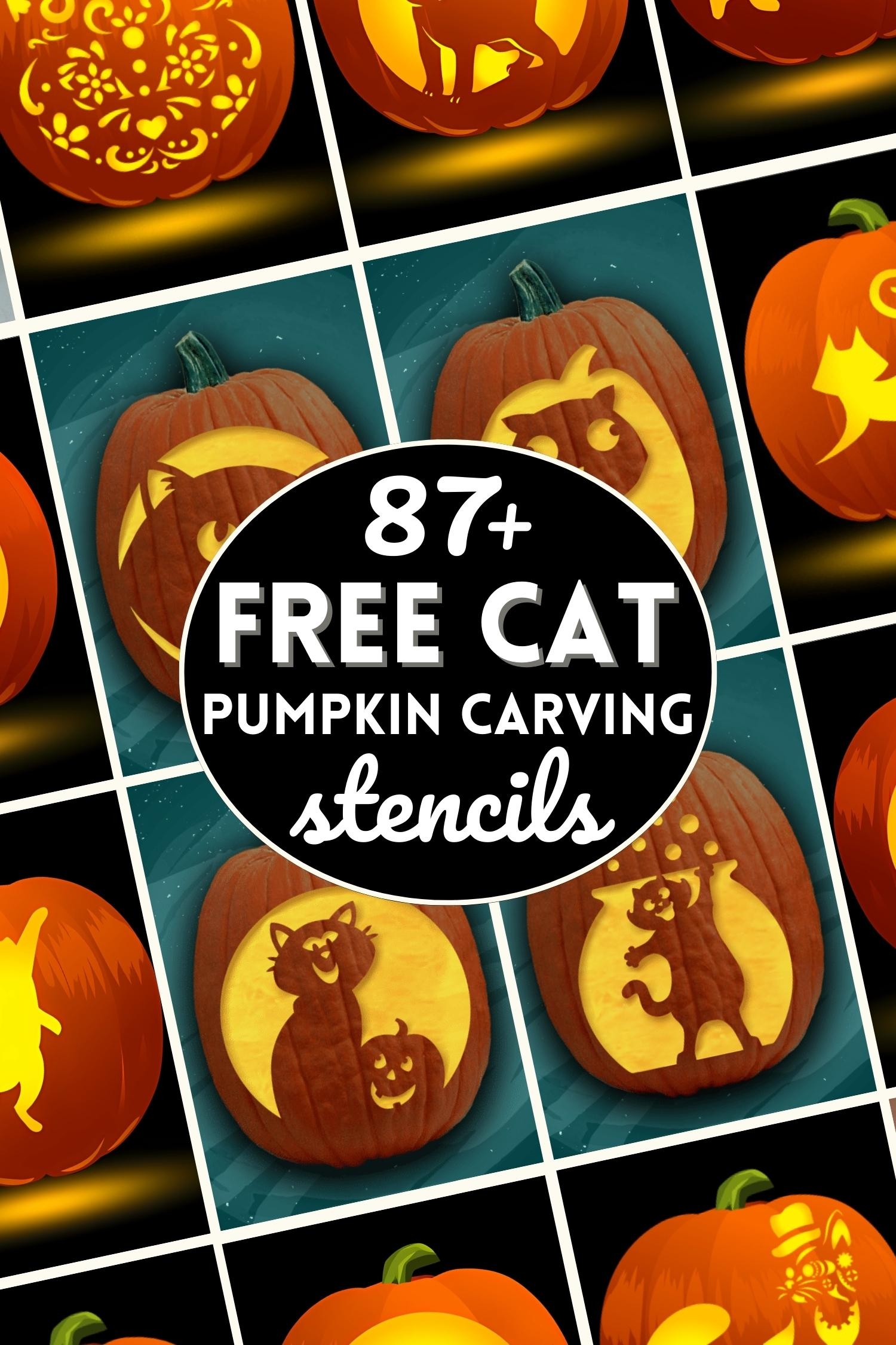 Cat Pumpkin Template Printable