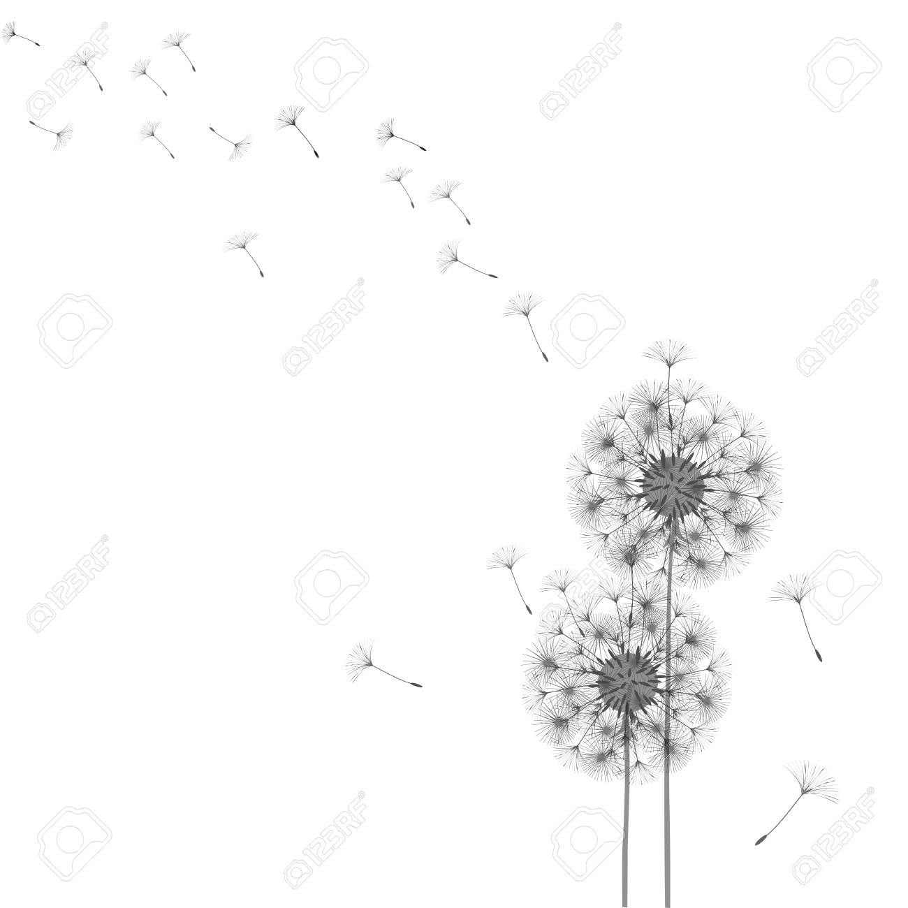 Free Printable Dandelion Template
