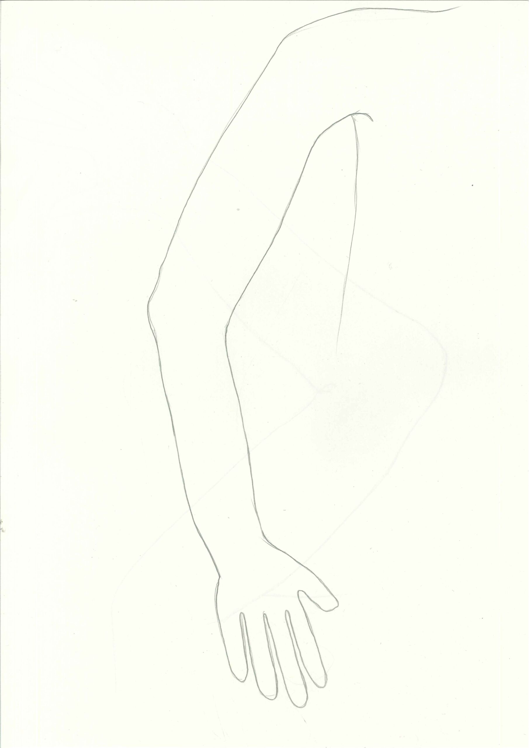 Printable Blank Arm Template For Tattoo