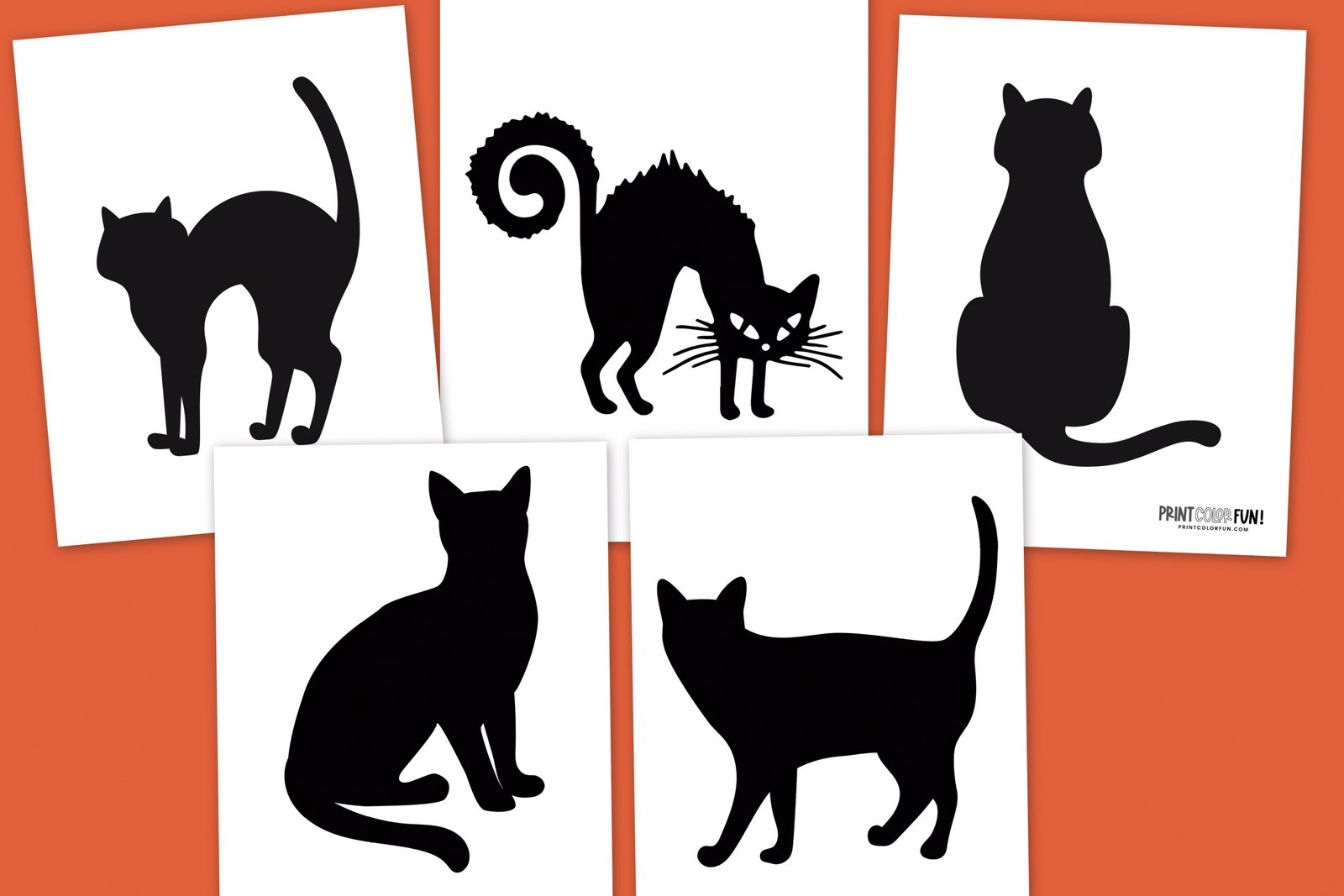 Printable Halloween Black Cat Template