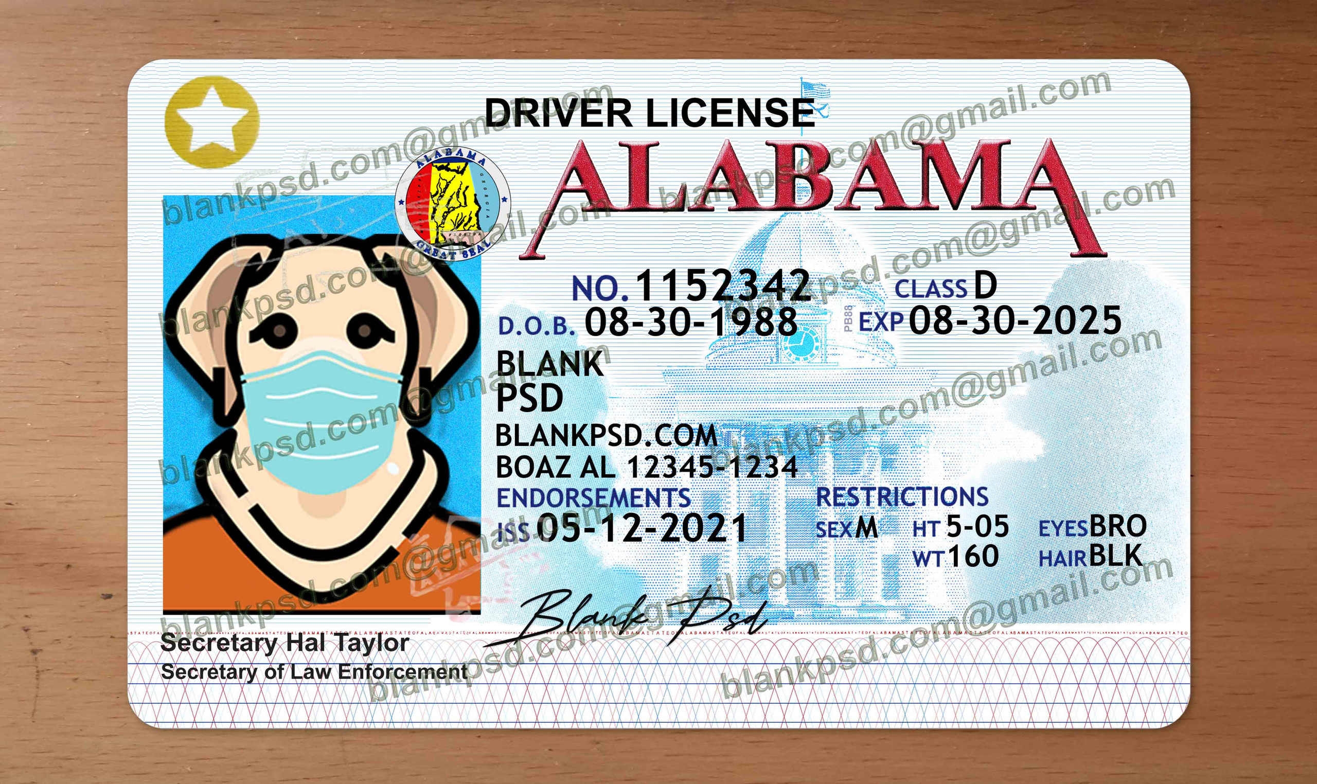 Printable Blank Alabama Drivers License Template