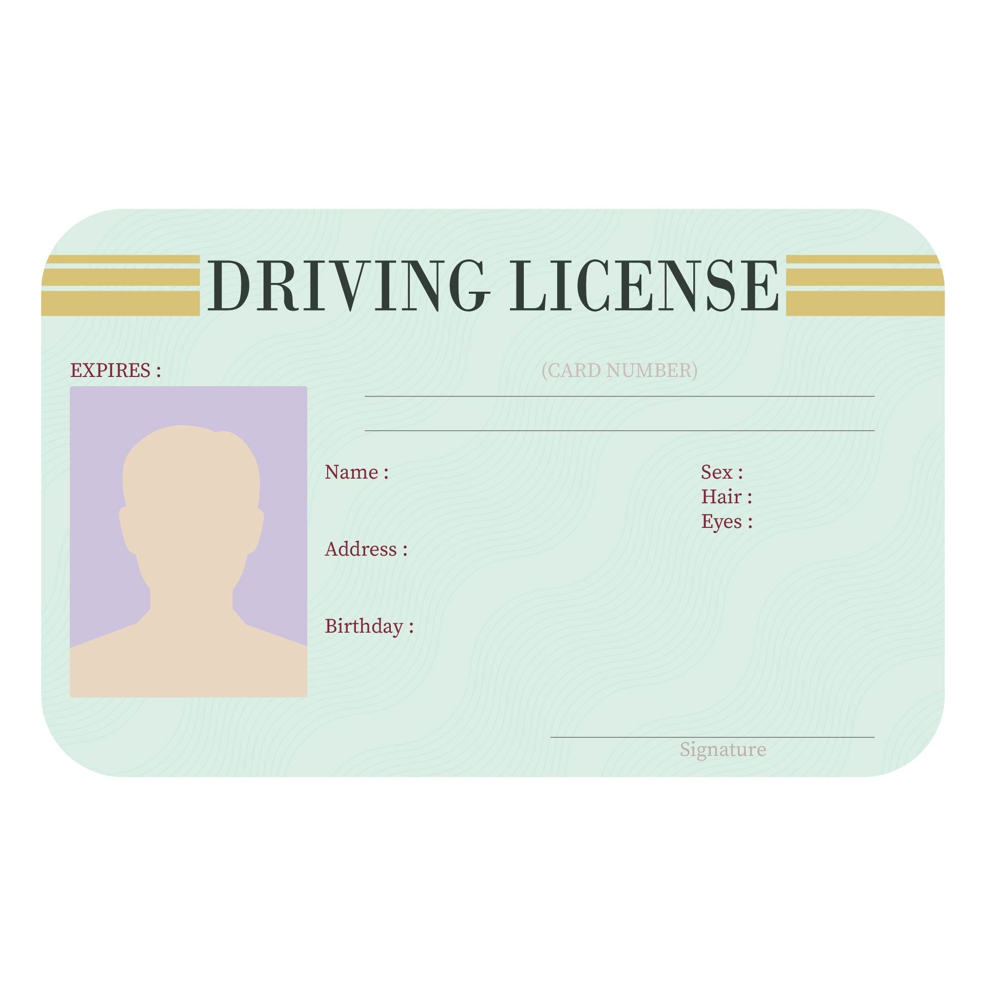 Blank Driving License Template Teacher Made Twinkl