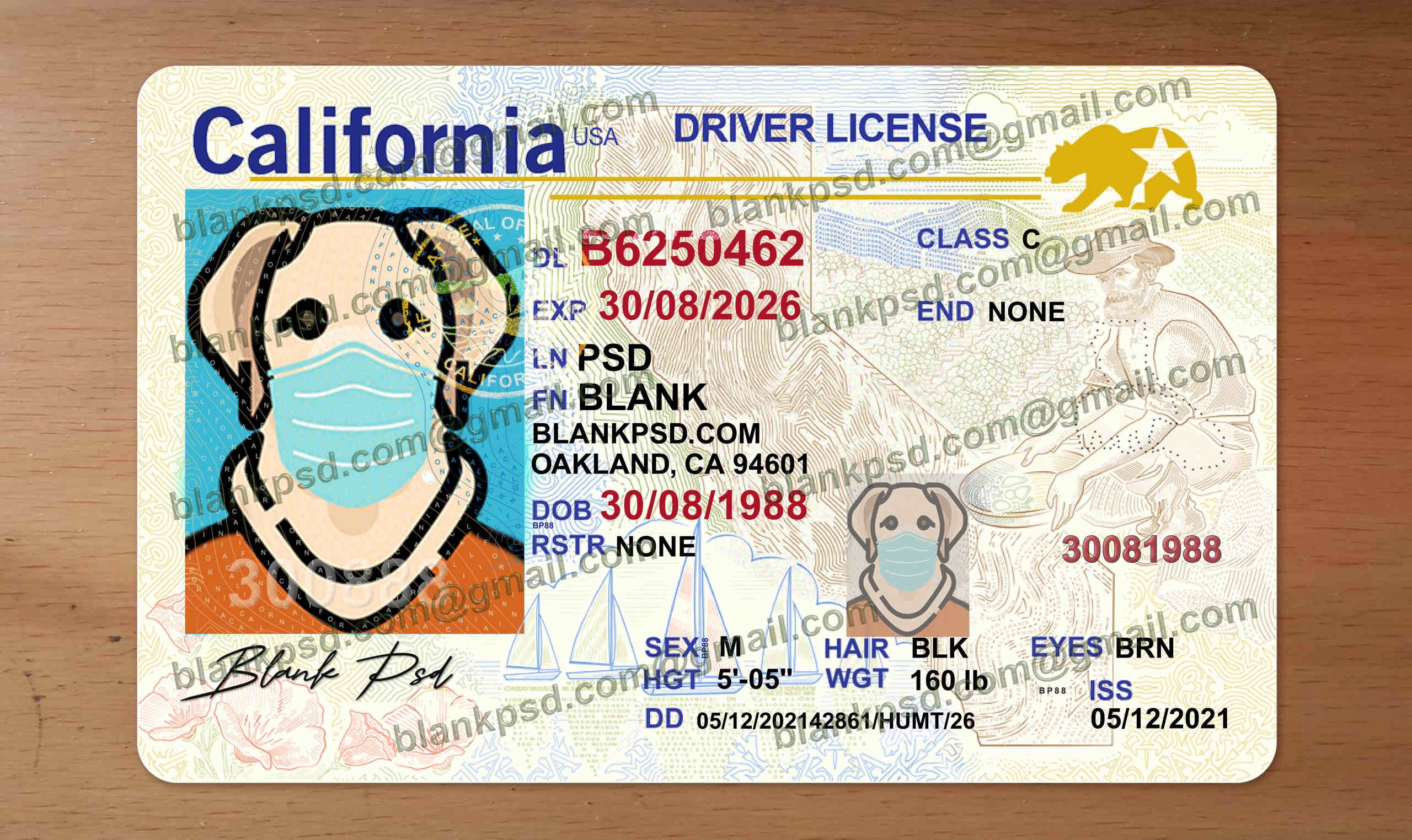 Printable California Temporary Driver'S License Template