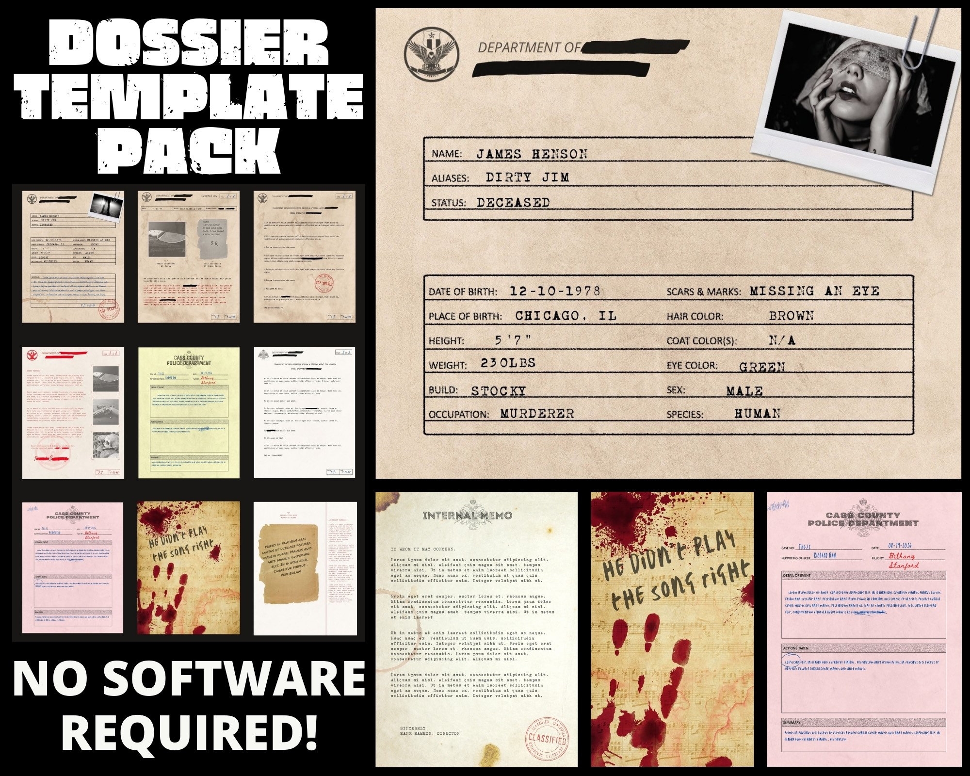 Printable Detective Case File Template