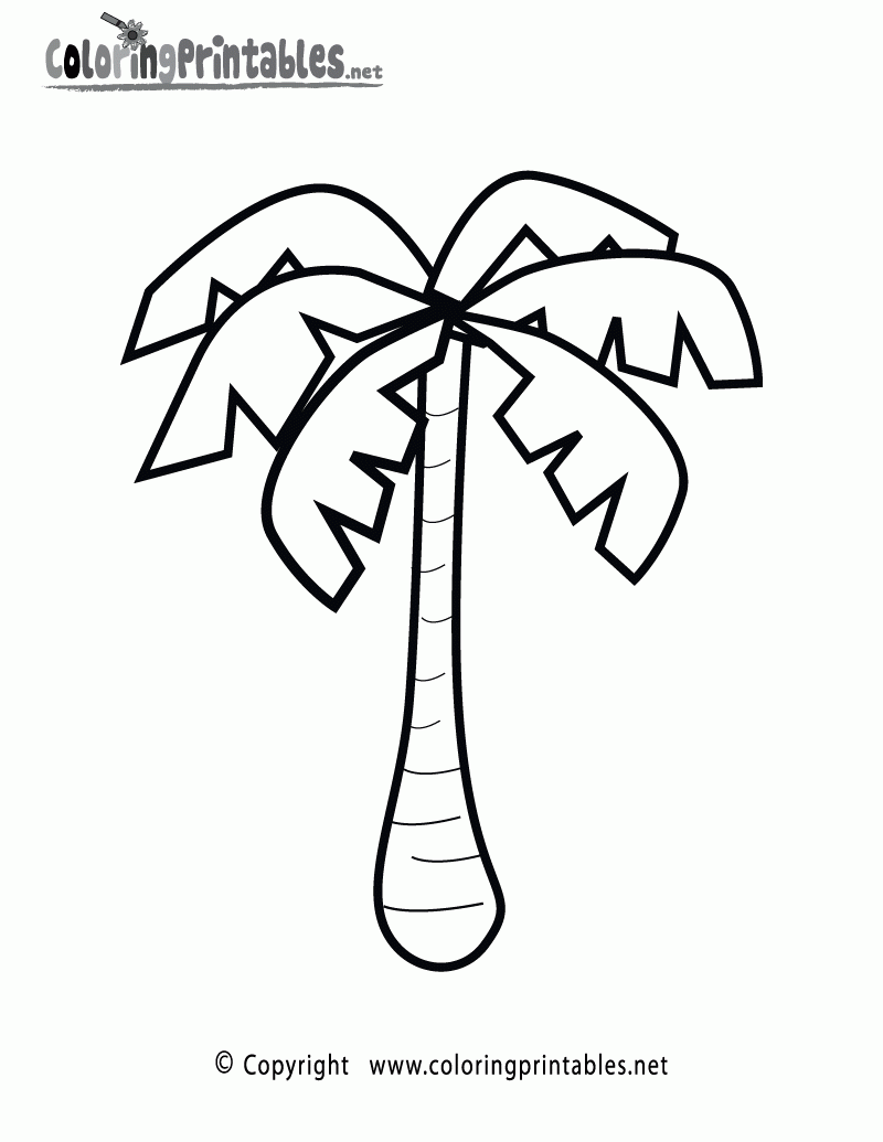 Printable Palm Tree Template