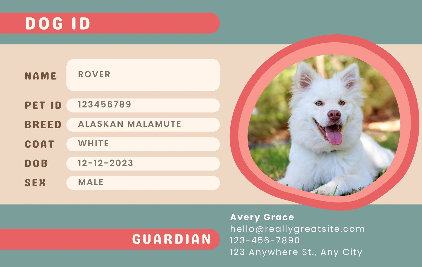 Customize 22 Dog Id Card Templates Online Canva