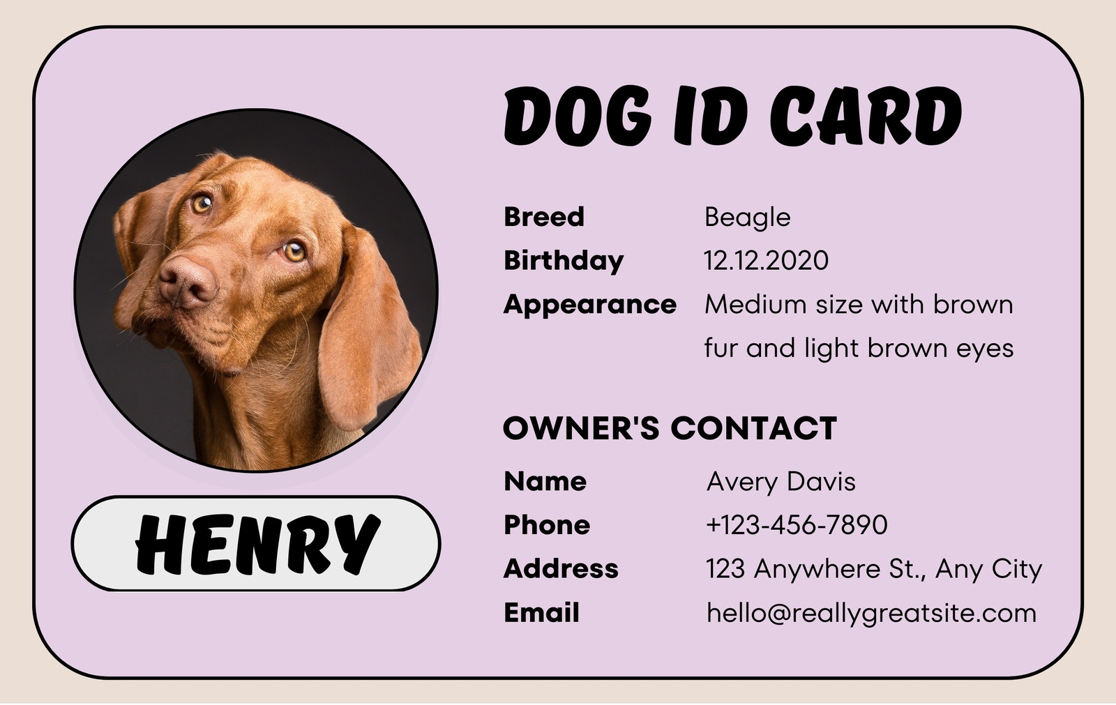 Customize 22 Dog Id Card Templates Online Canva