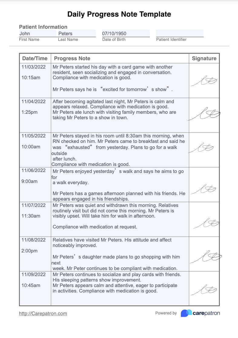 Daily Progress Note Template Example Free PDF Download