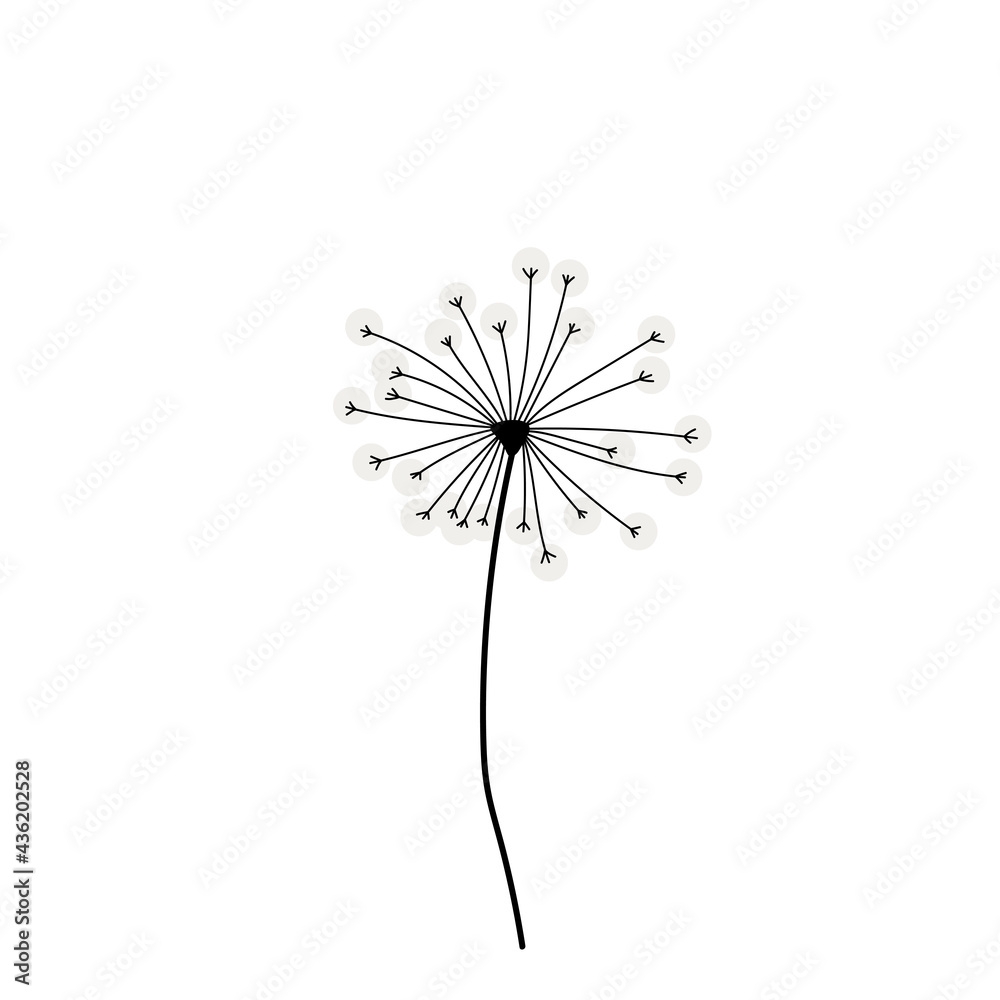 Dandelion Vector Dandelion Isolated On White Background As A Template For Poster Postcard Wallpaper Stock Vector Adobe Stock