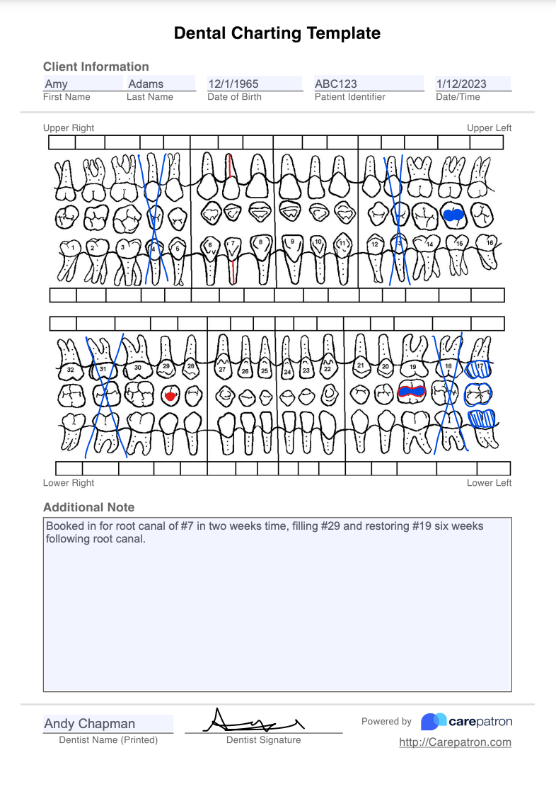 Dental Charting Template Example Free PDF Download