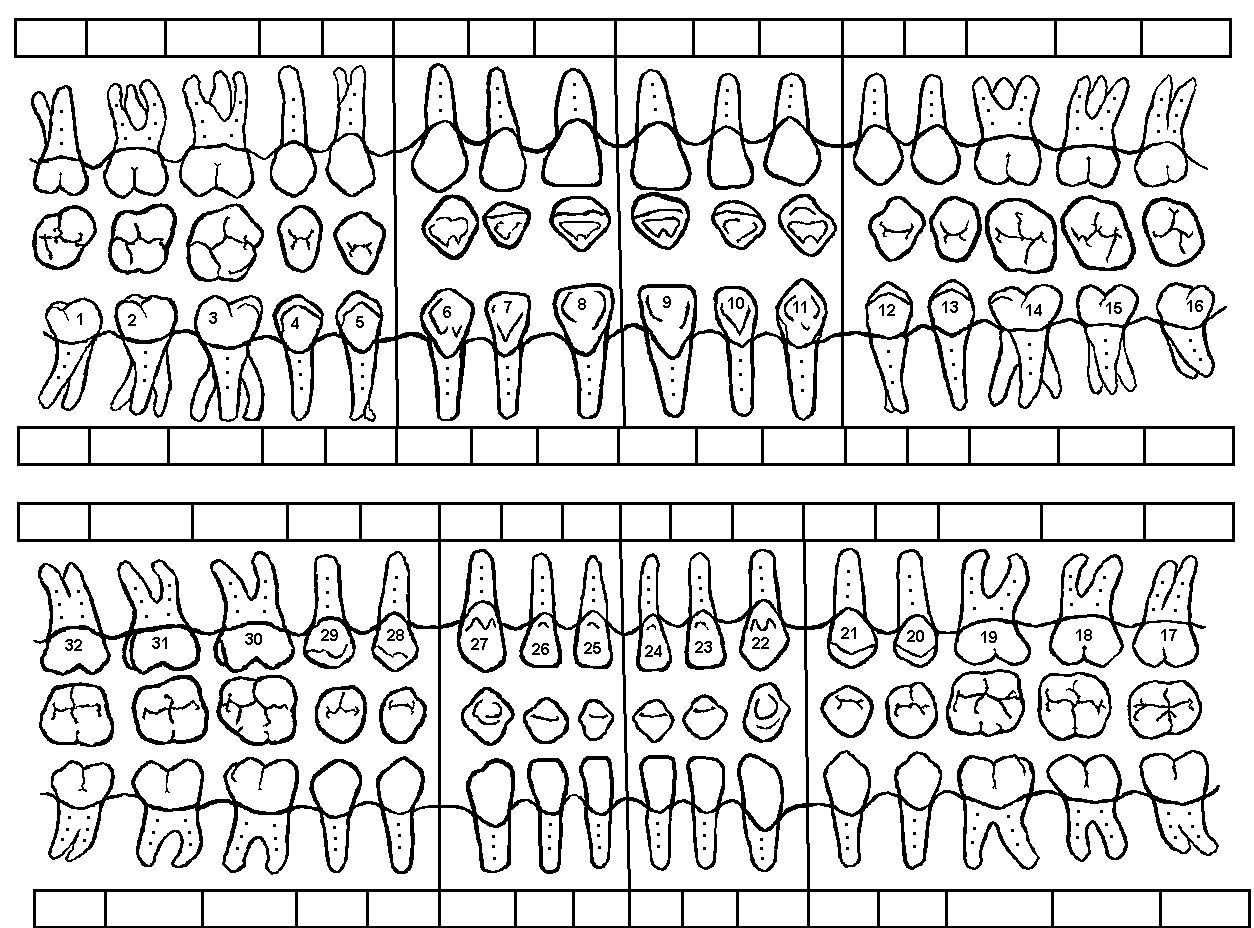 Dental Tooth Charting Form Dental Charting Tooth Chart Dental Teeth