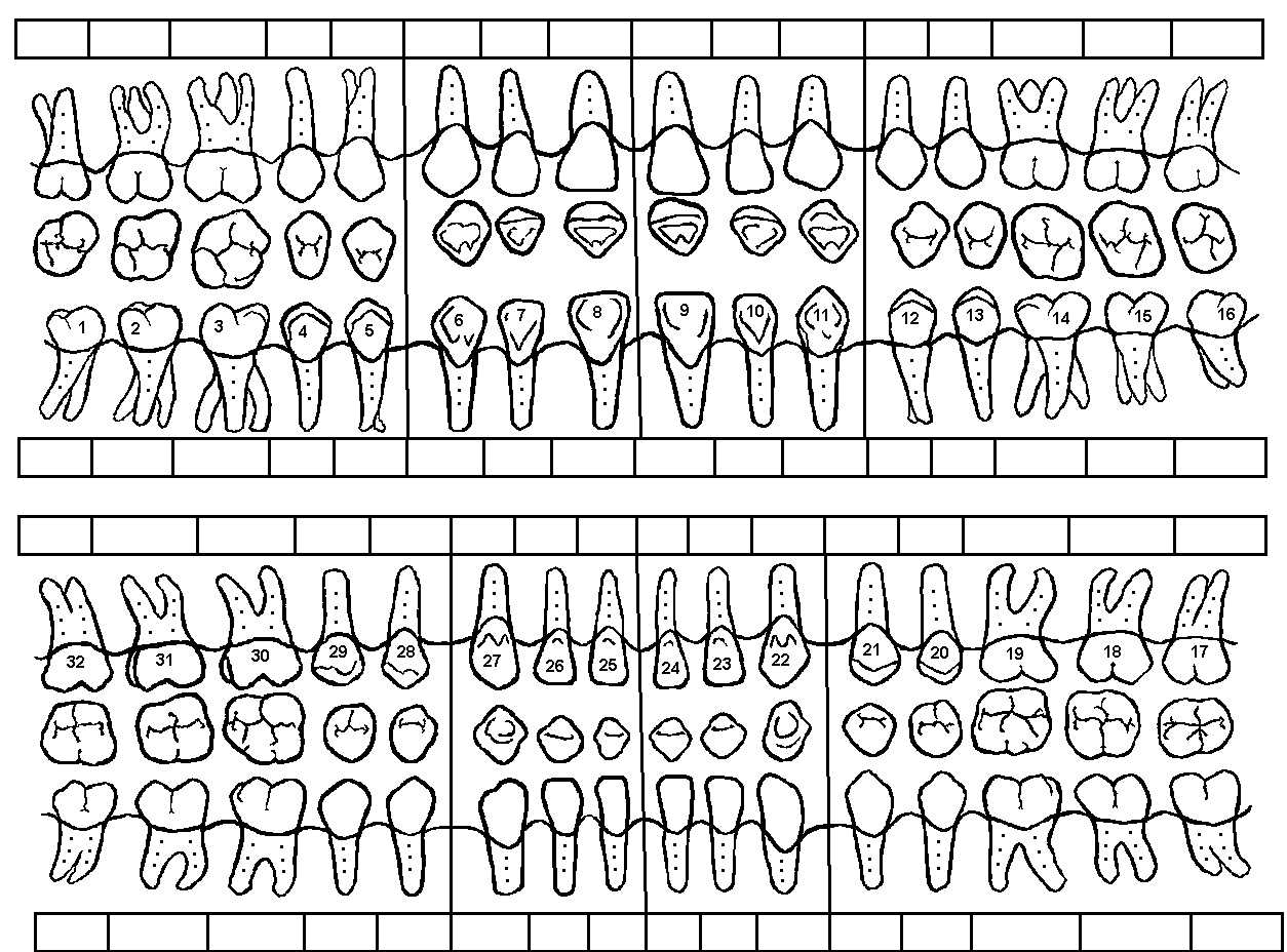 Printable Dental Routing Slip Template