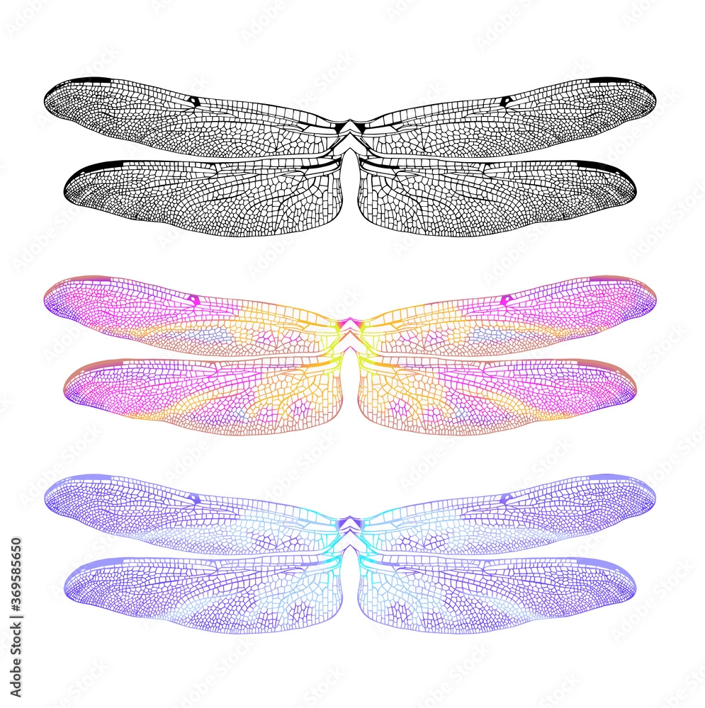 Printable Dragonfly Wings Template
