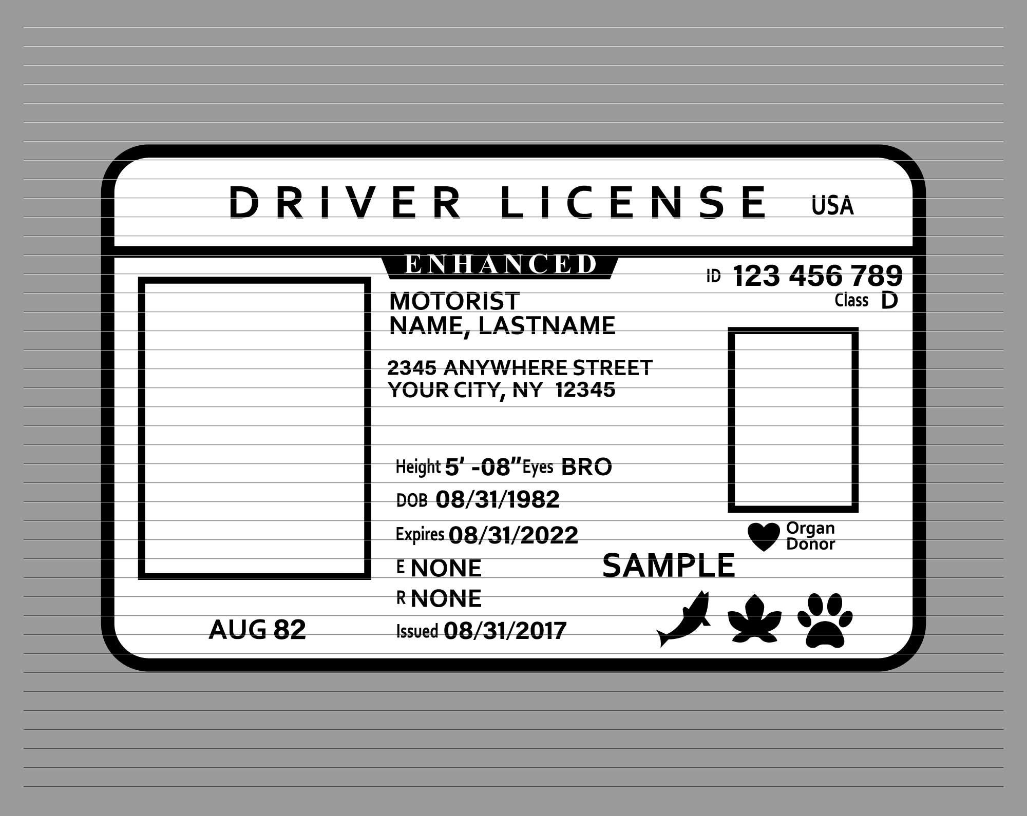 Free Printable Drivers License Template