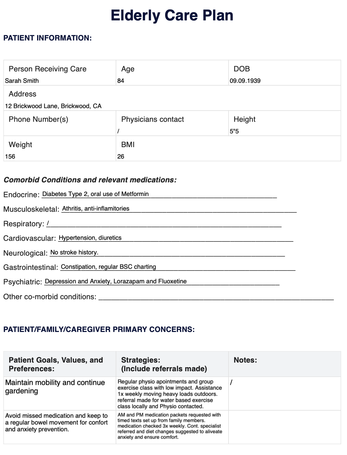 Elderly Care Plan Template Example Free PDF Download