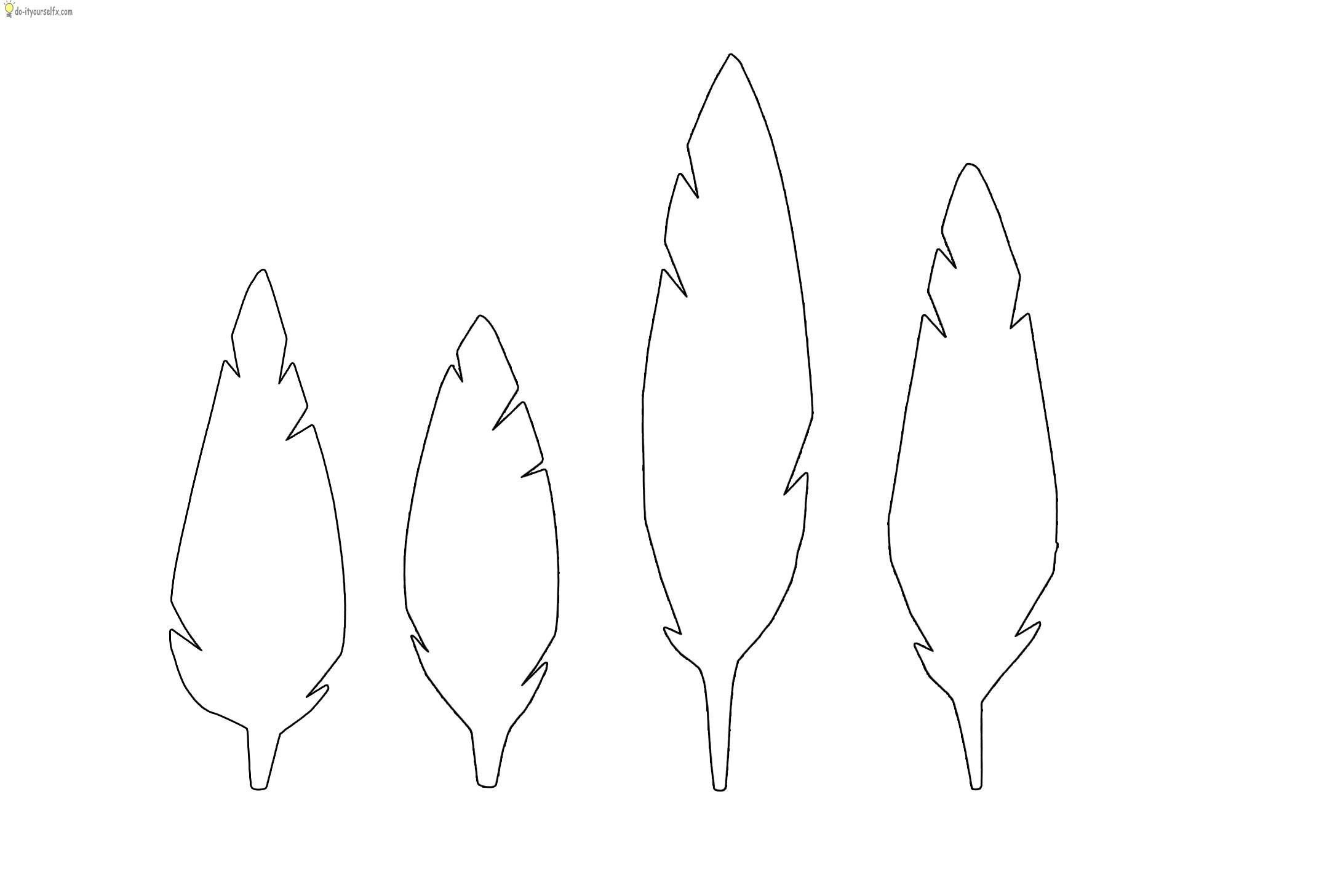 Feather Template Templates Printable Free Feather String Art Pattern