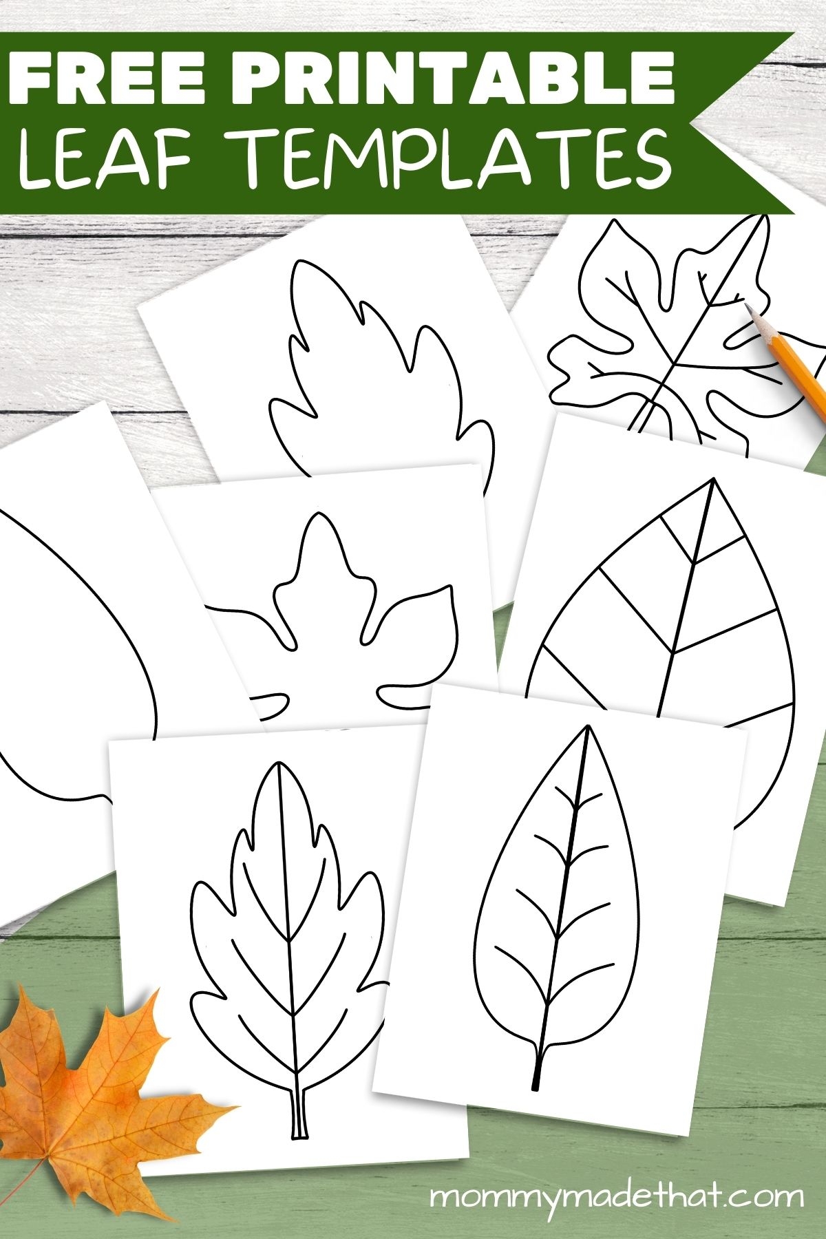 Fall Leaf Template Free Printable
