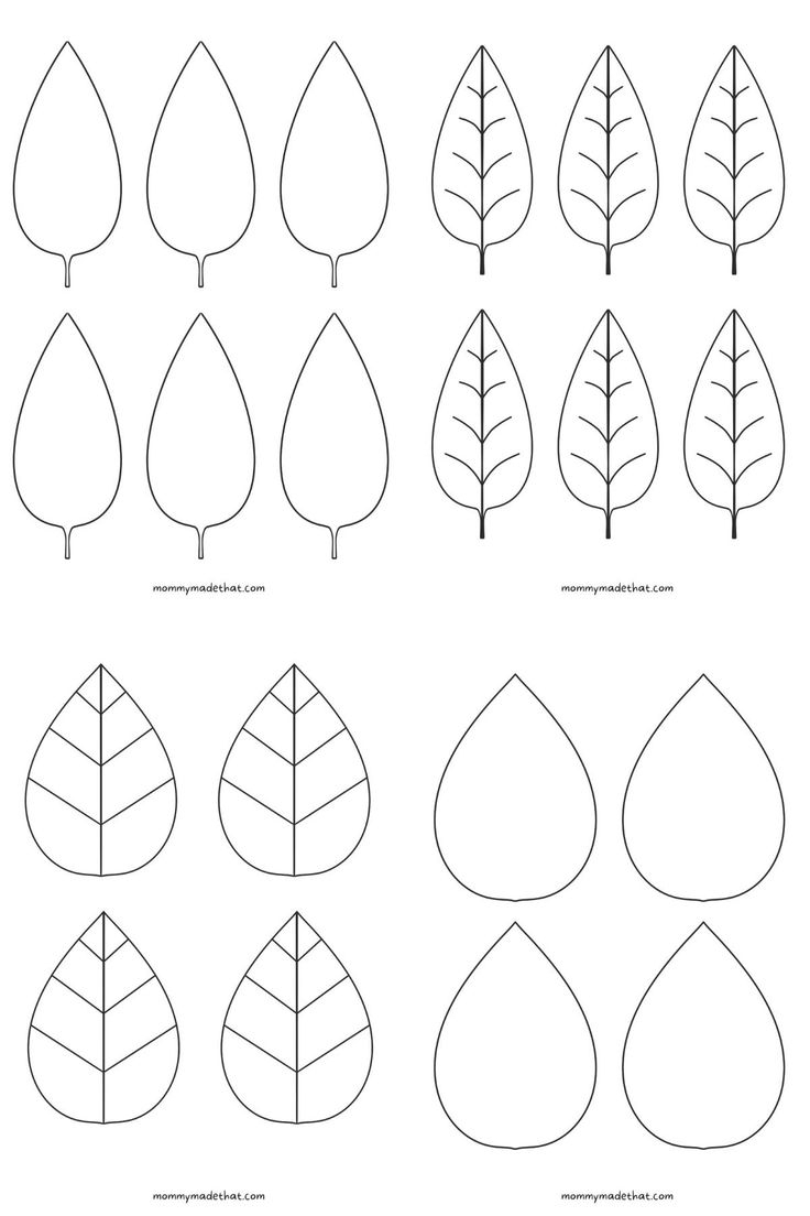 Free Leaf Templates Outlines Tons Of Printables Leaf Template Printable Leaf Template Printable Leaves