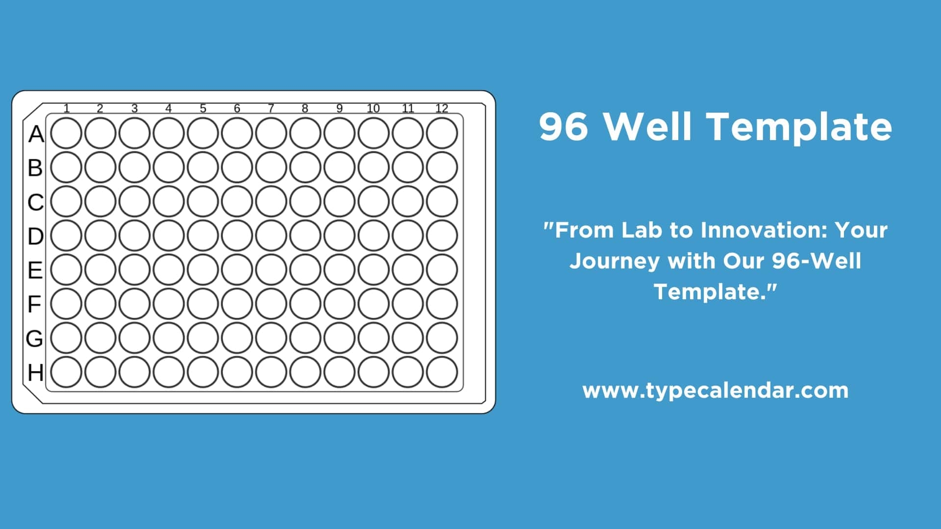 Free Printable 96 Well Plate Templates Excel PDF Word Editable