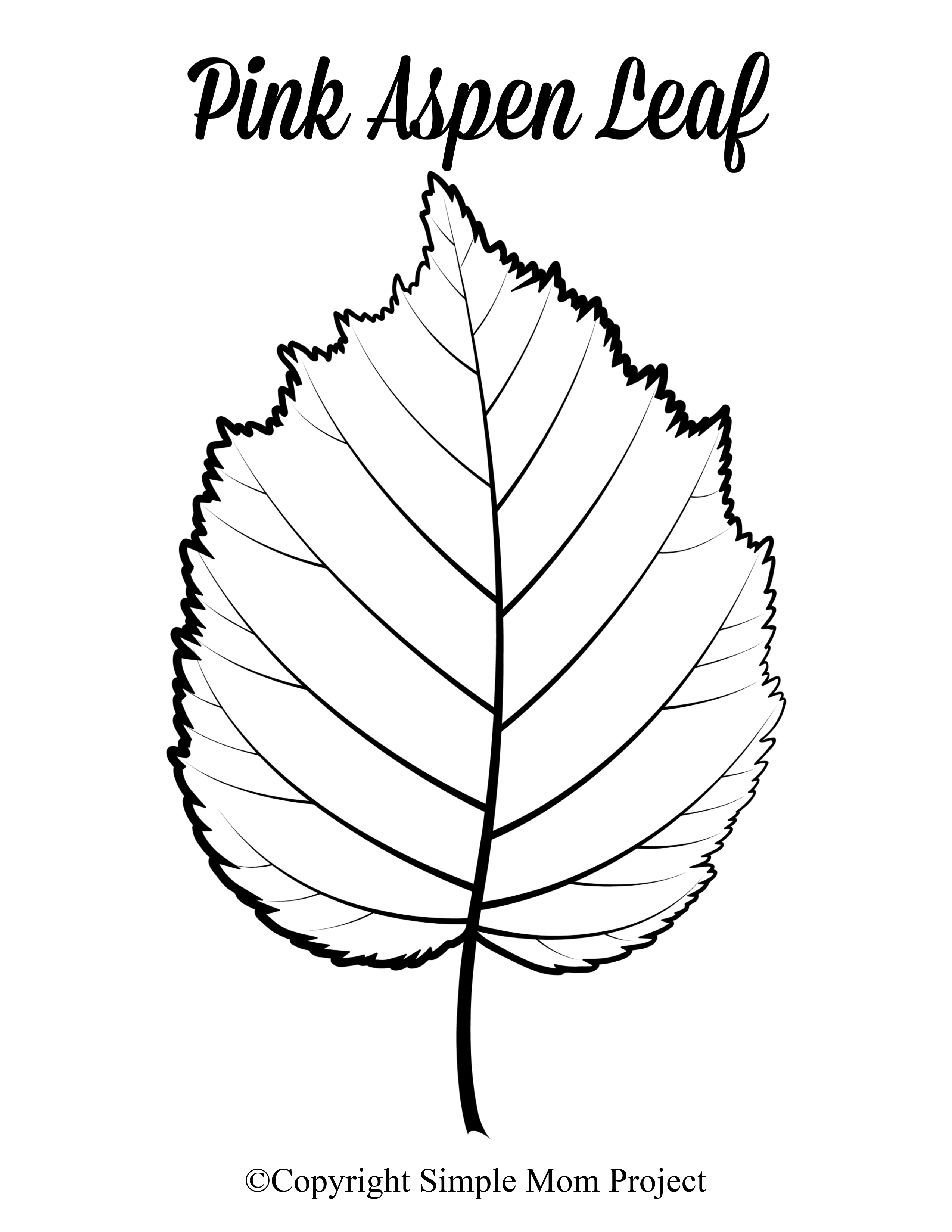 Free Printable Large Leaf Templates Stencils And Patterns Leaf Template Fall Leaf Template Leaf Template Printable