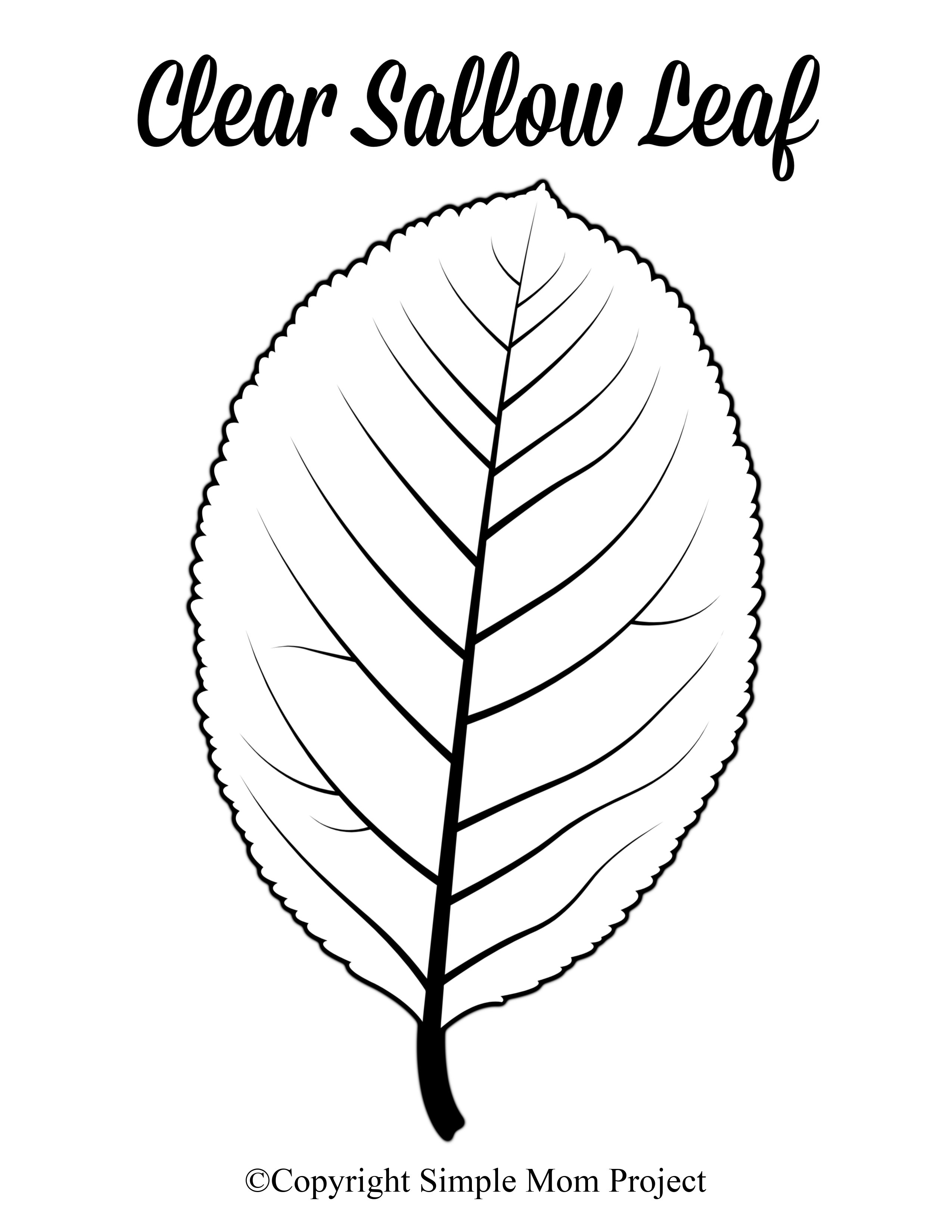 Free Printable Large Leaf Templates Stencils And Patterns Simple Mom Project