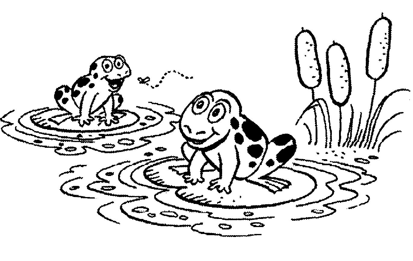 Lily Pad Template Printable Free
