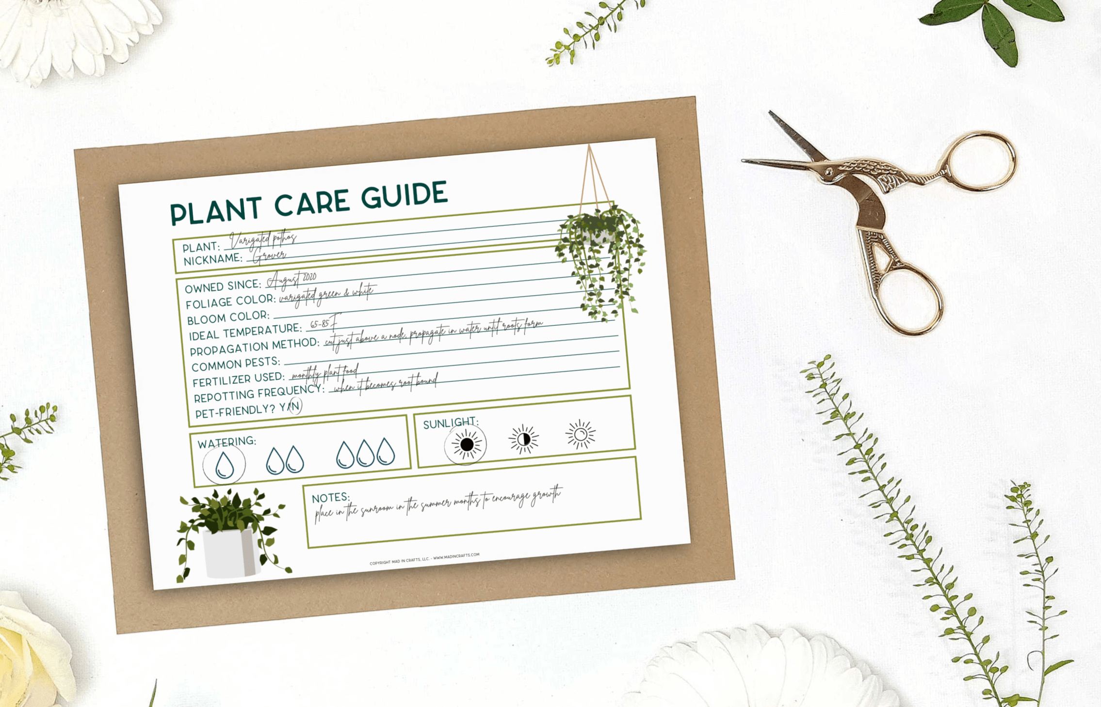 Printable Plant Care Template