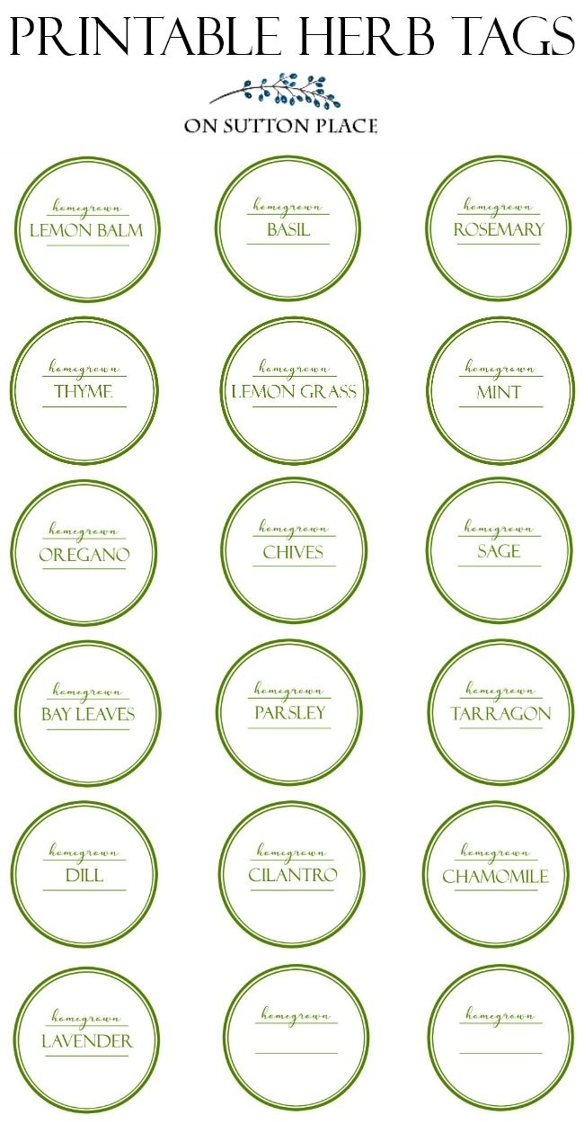 Free Printable Plant Labels Template Printable Templates Free