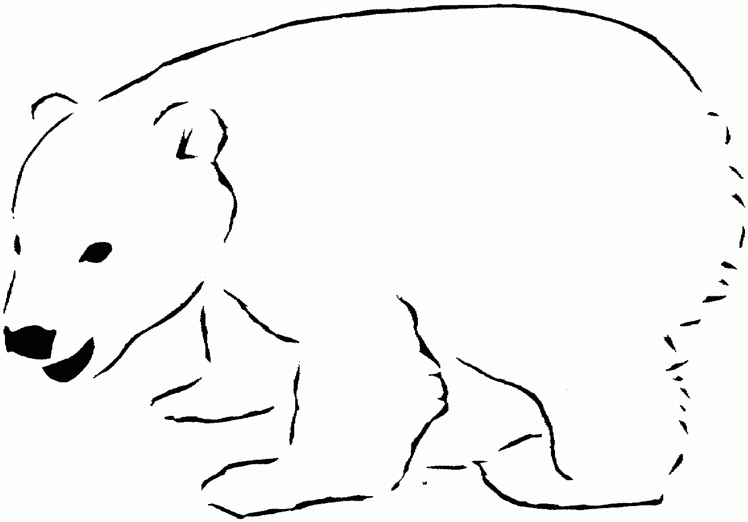 Free Printable Polar Bear Coloring Pages For Kids Polar Bear Coloring Page Polar Bear Color Bear Coloring Pages
