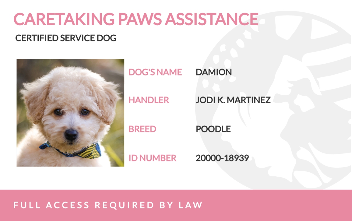 FREE Service Dog ID Card Templates Examples Edit Online Download Template