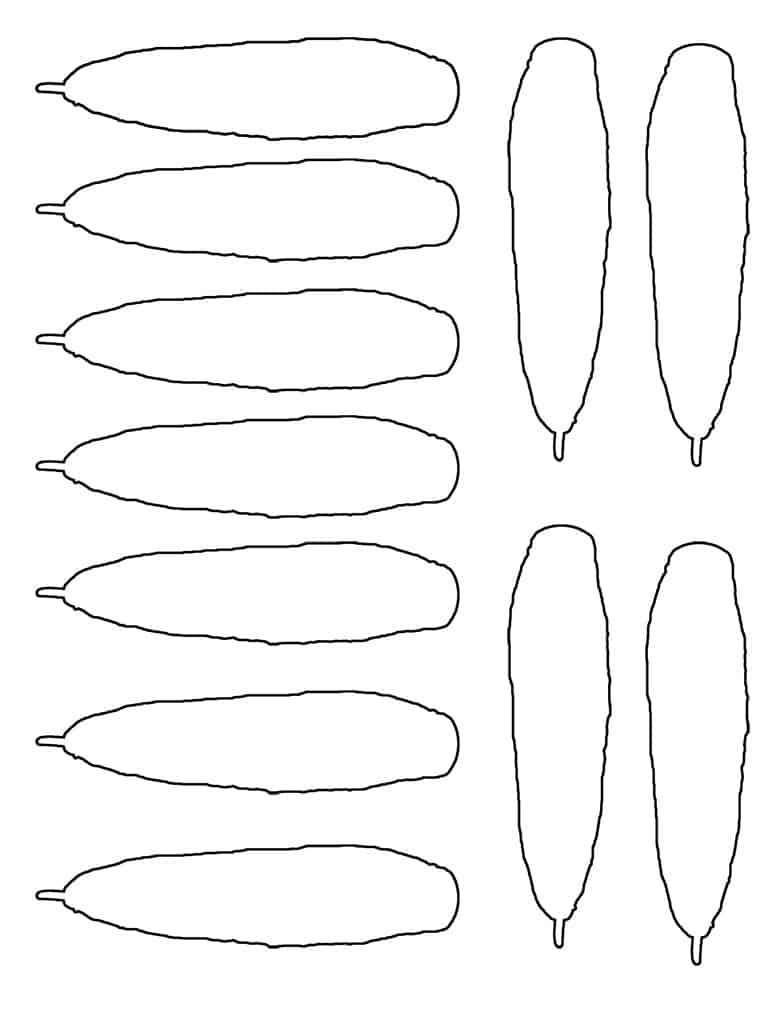 Turkey Feather Template Free Printable