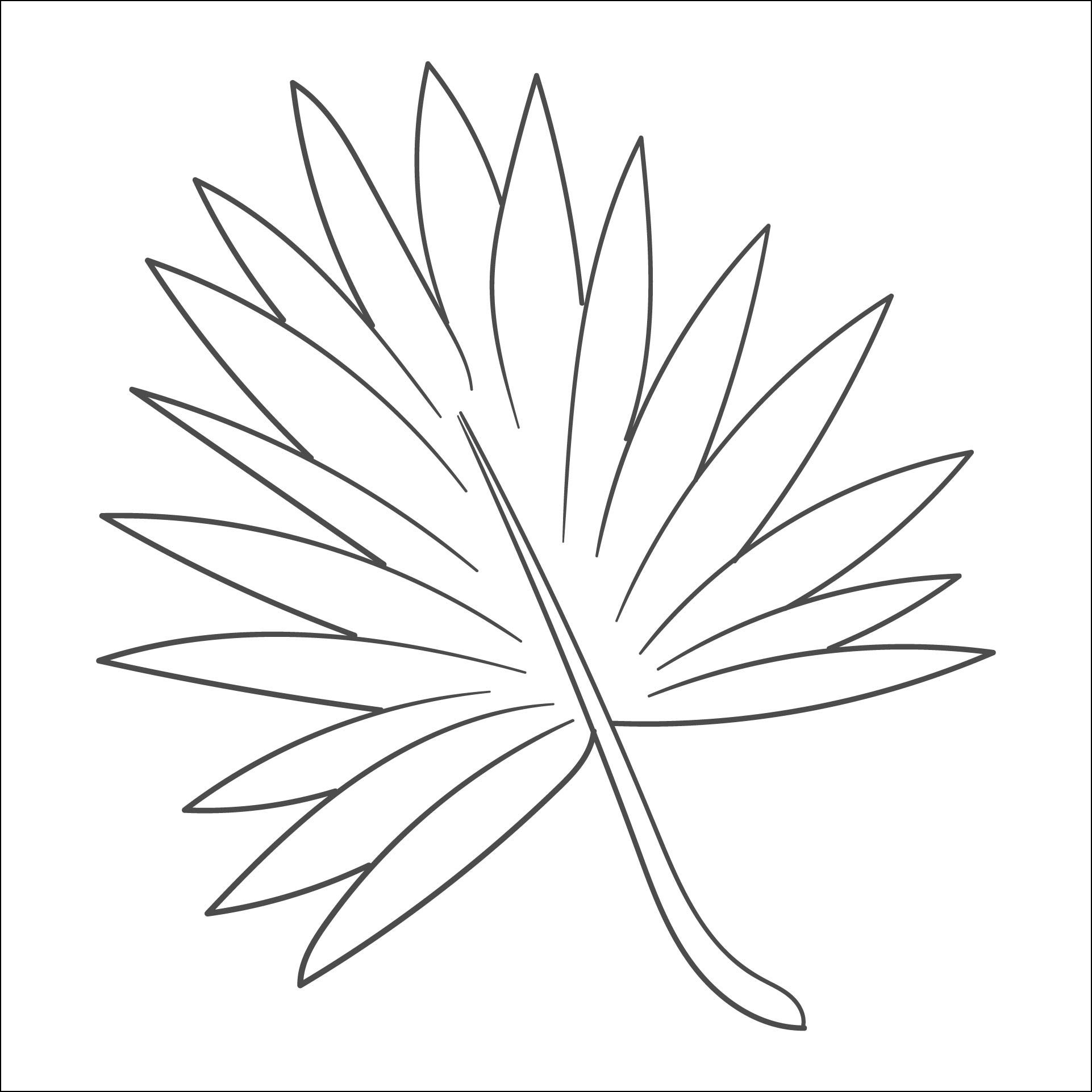 Google Image Result For Https www printablee postpic 2021 12 palm sunday palm leaf template pri Leaf Template Printable Leaf Template Template Printable