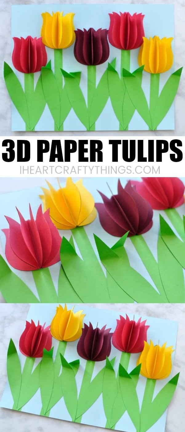 3D Tulip Template Printable Free