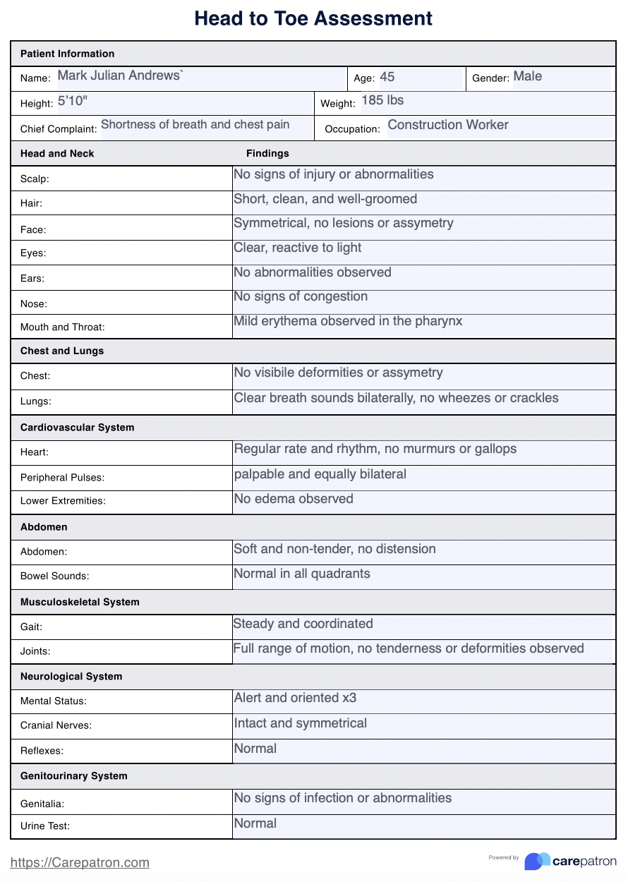 Head To Toe Assessment Example Free PDF Download