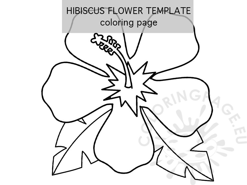 Free Printable Hibiscus Flower Template