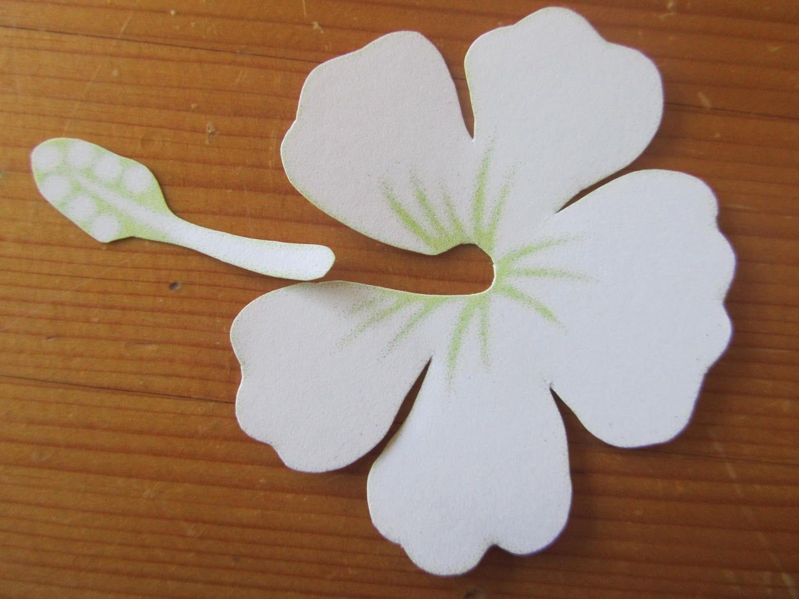 Cut Out Printable Hibiscus Flower Template