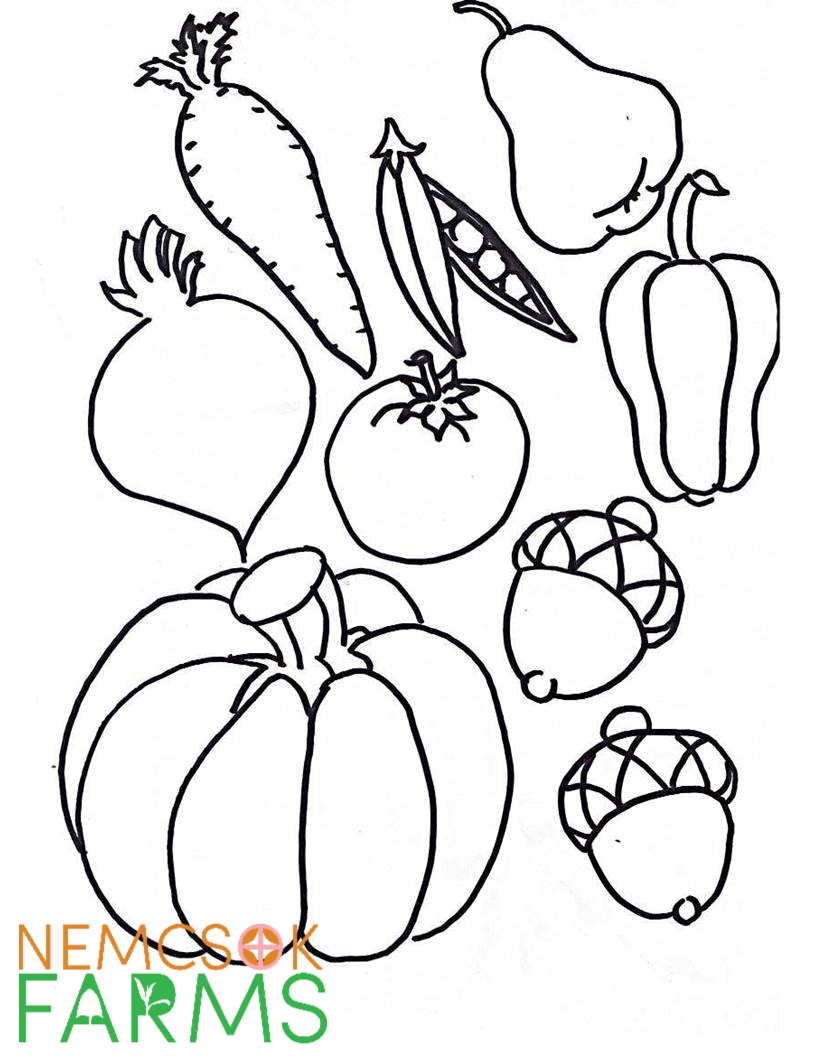 Free Printable Cornucopia Templates