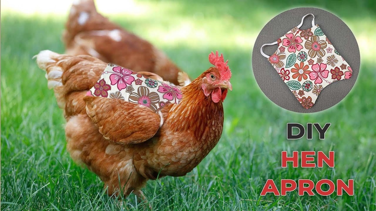 Printable Template Chicken Saddle Pattern With Wing Protectors