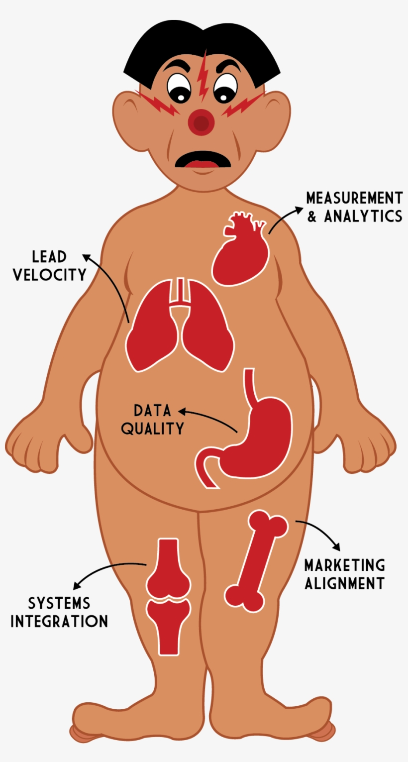 Human Body Organ Diagram Interactive Anatomy Chart