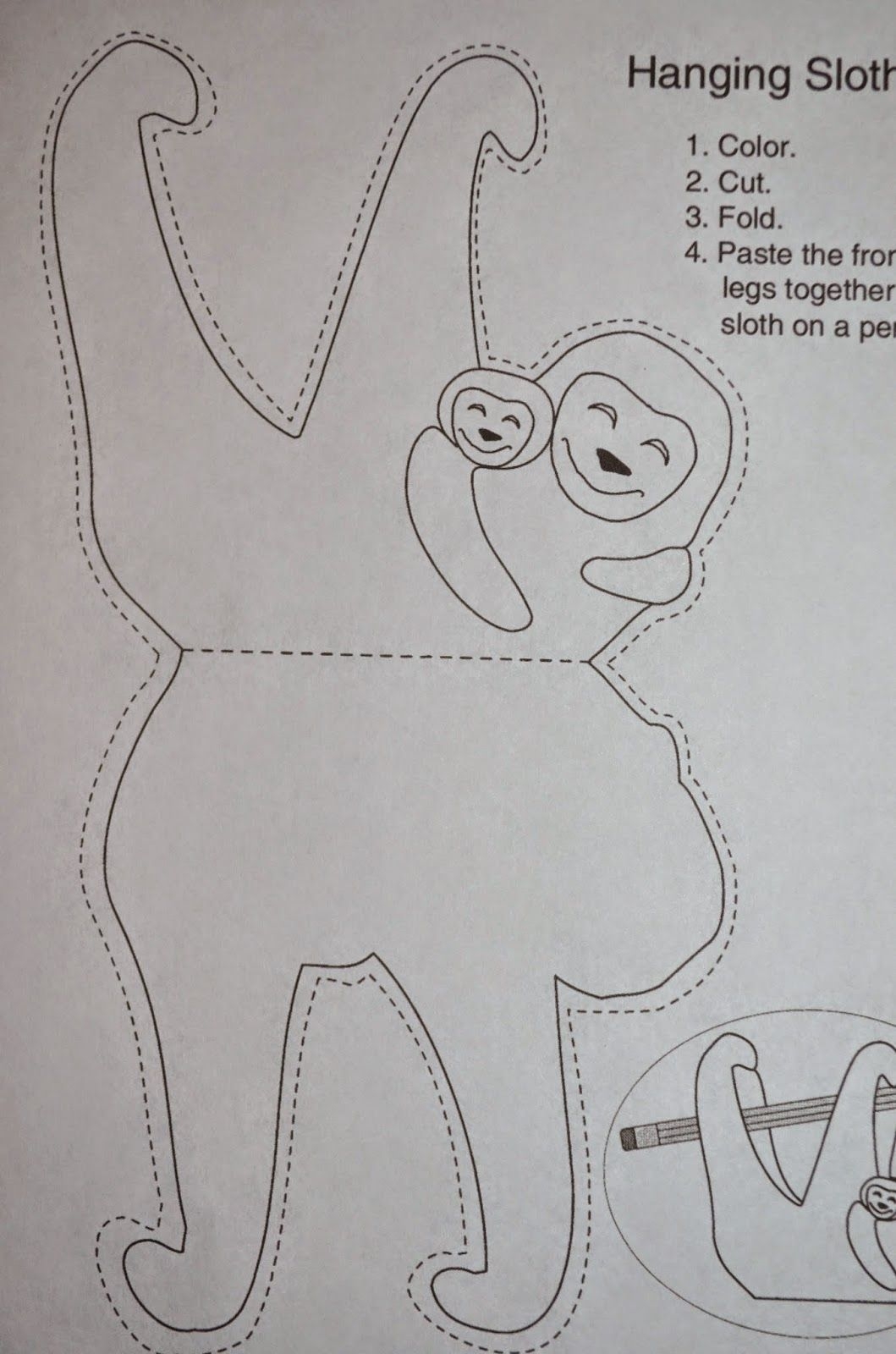 Image Result For Sloth Printables Jungle Crafts Rainforest Crafts Animal Crafts