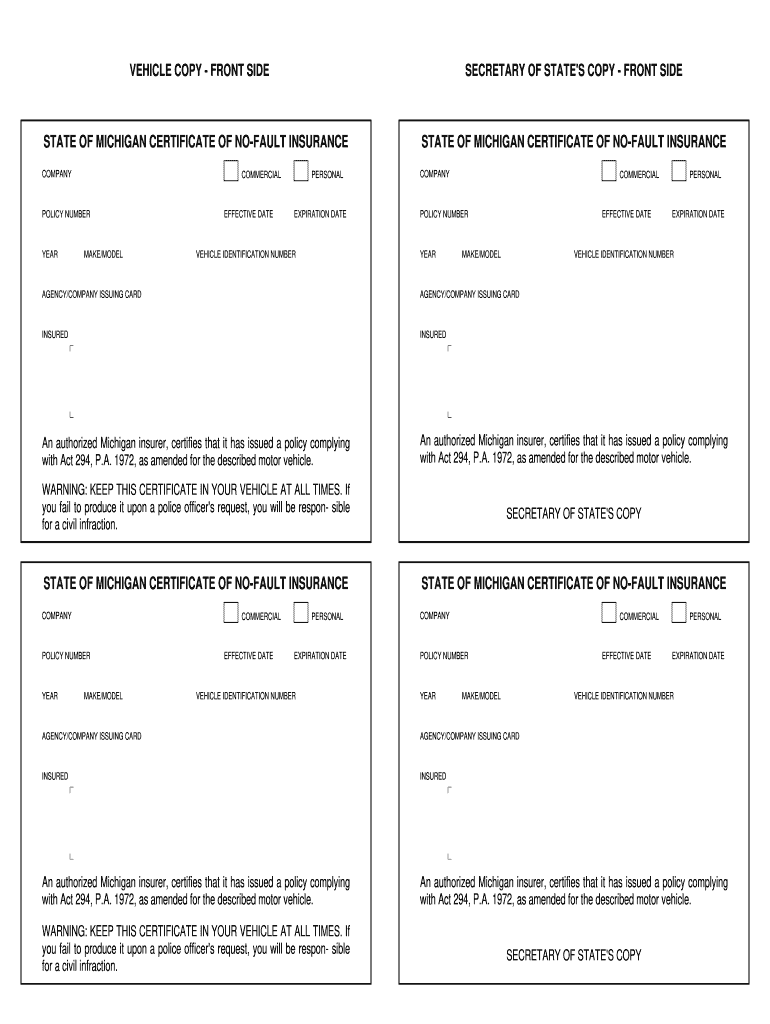 Insurance Template Fill Online Printable Fillable Blank PdfFiller